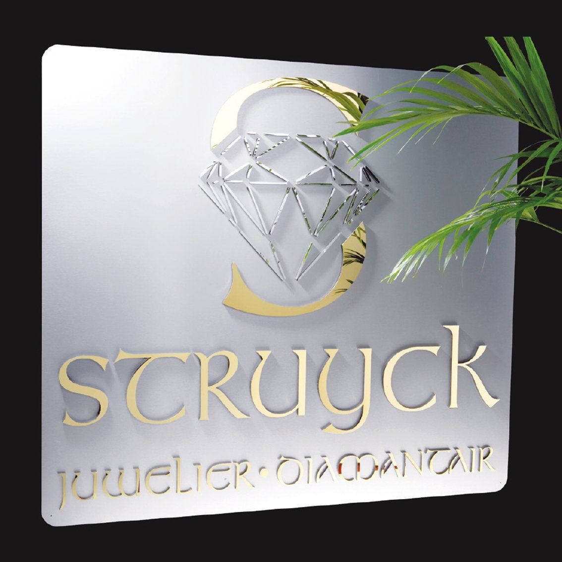 3D Logo