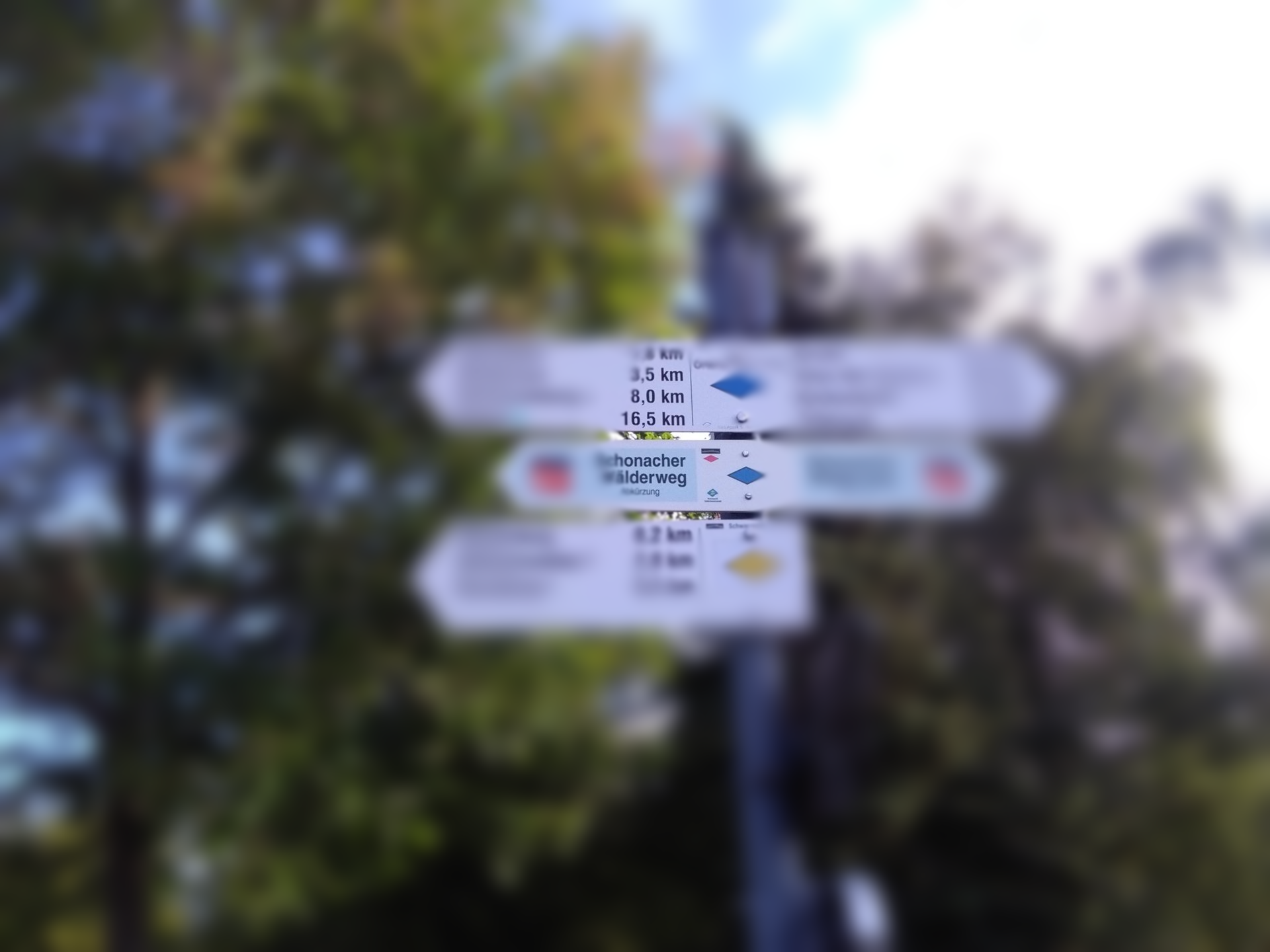 Lebensberatung als Wegweiser wenn man den Wald vor lauter Bäumen nicht sieht in undurchsichtigen Lebensphasen: Lebensberatung als Wegweiser wenn man den Wald vor lauter Bäumen nicht sieht