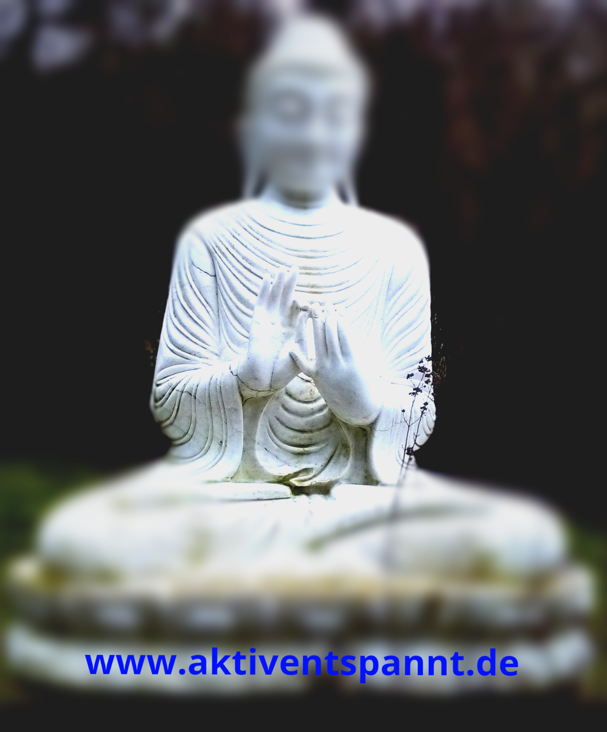 Mit der richtigen Mudra kannst du die Wirkung der Meditation vertiefen aber auch sonst zur Harmonisierung deines Körpers und Geistes beitragen. Mudras zur bewirken Harmonisierung von Körper, Geist und Seele, vertiefen die Meditation, wirken beruhigend oder aktivierend