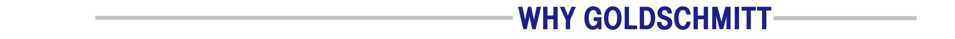 Header image: Why Goldschmitt Header image, thin gray line, Why Goldschmitt in blue text, thin gray line