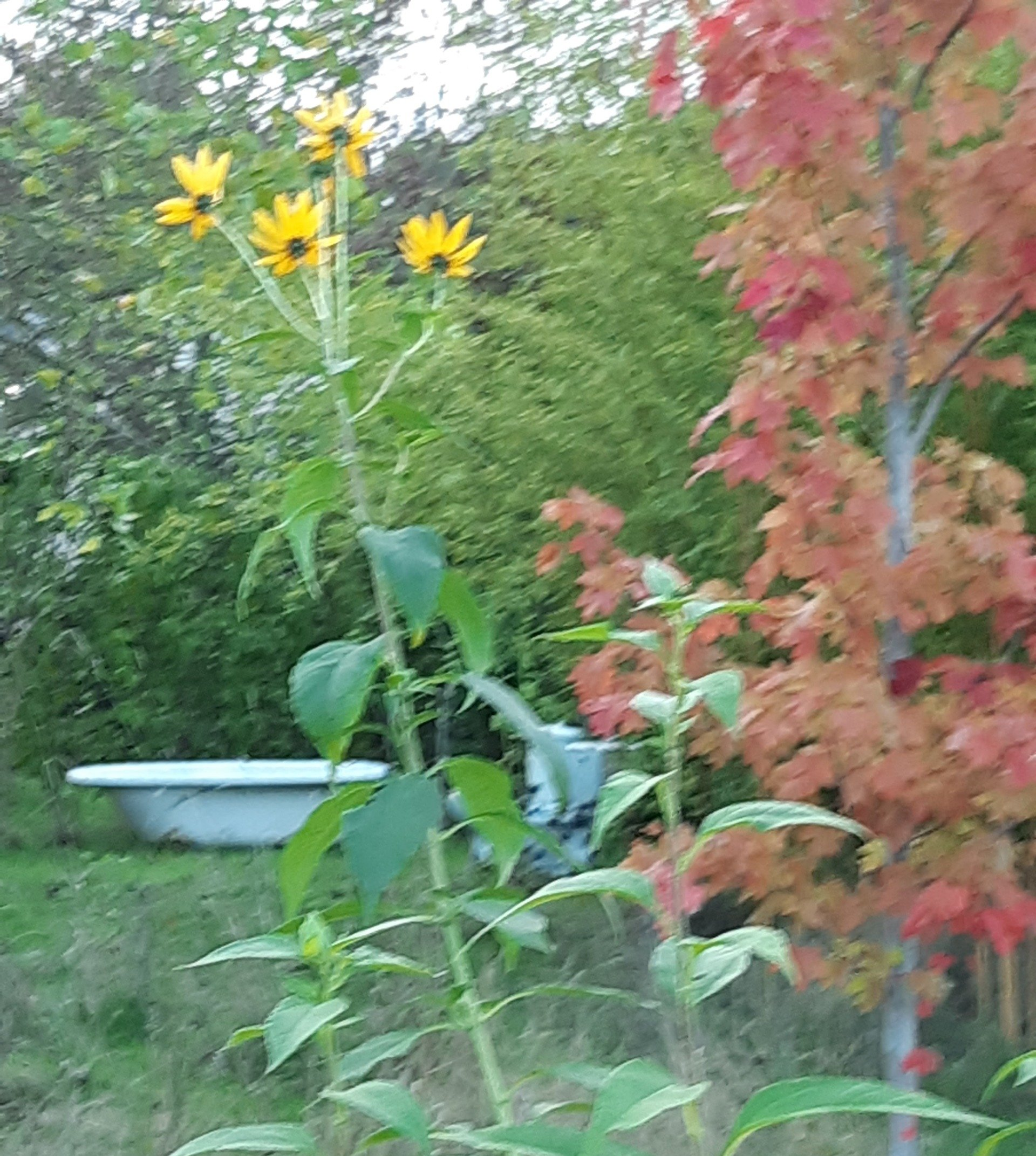 atelier consultants en portage à ITG atelier consultants ITG au Tiers-lieu Le Planty