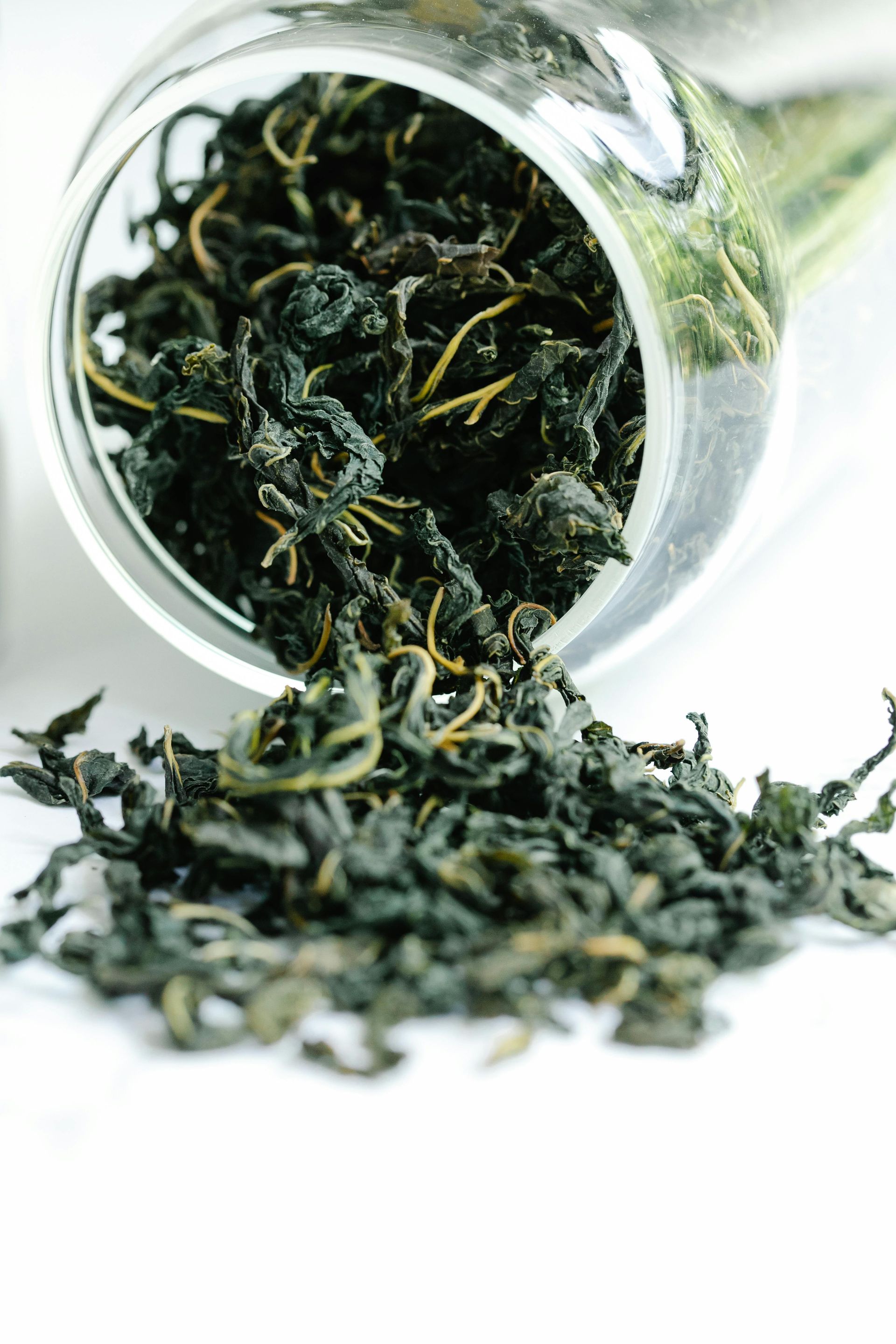 Fein aromatischer Oolong-Tee mit losen Teeblättern – besondere Teespezialität bei Feinkost Salamon in Groß-Gerau.