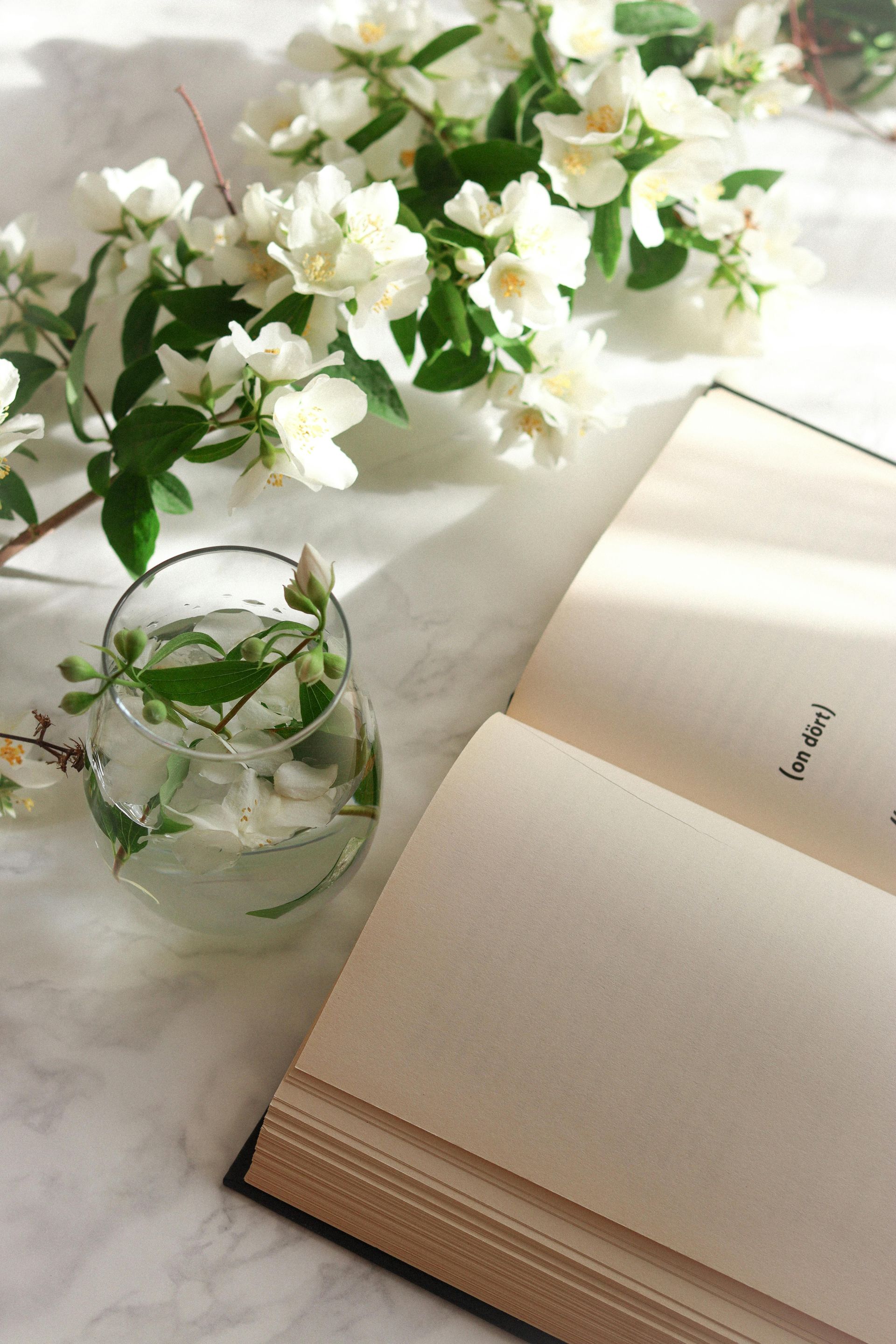 Jasminblüten und Buch in ruhiger Atmosphäre – duftender Teemoment bei Feinkost Salamon in Groß-Gerau.