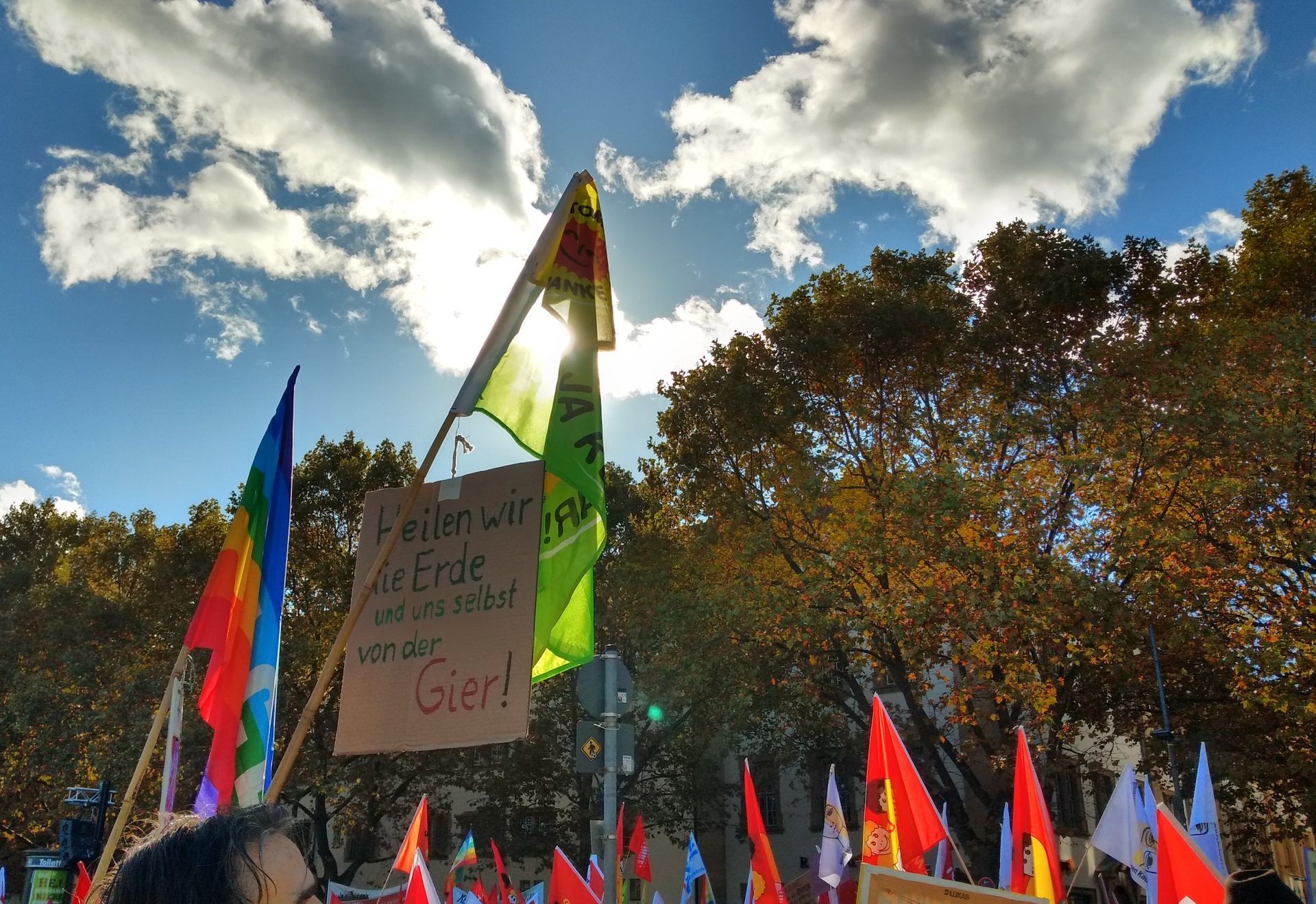 Demobild, verschiedene Fahnen und Transparente vor großen Bäumen, einige Wolken