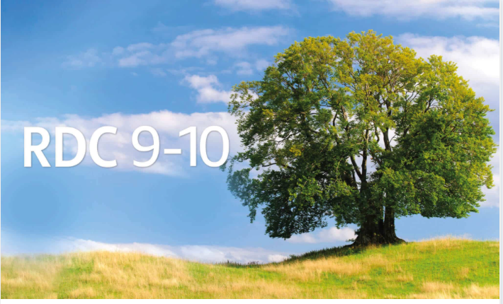 Vivre et s'approprier les exercices de la Relaxation dynamique de Caycedo