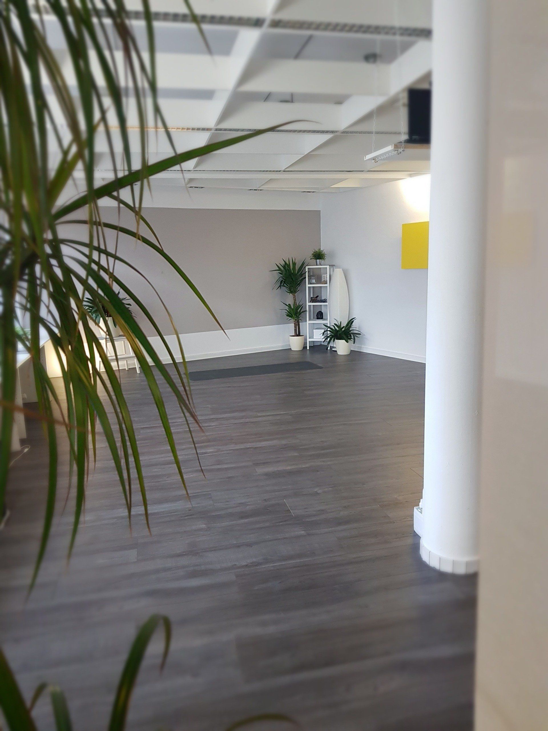 Kurse, Rückenfit, Yoga, Bodyworkout, Bodega Move, Bewegung, Sport, Fitness, Gesundheit,