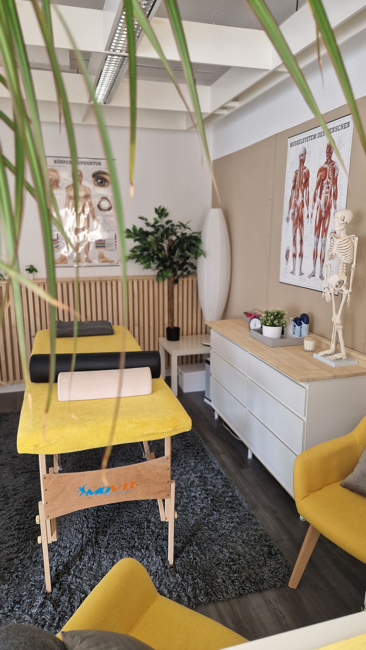 Personaltraining, Bewegung, Analysen, Trainingspläne, Schmerzfrei werden, gesund werden, Fachpersonal