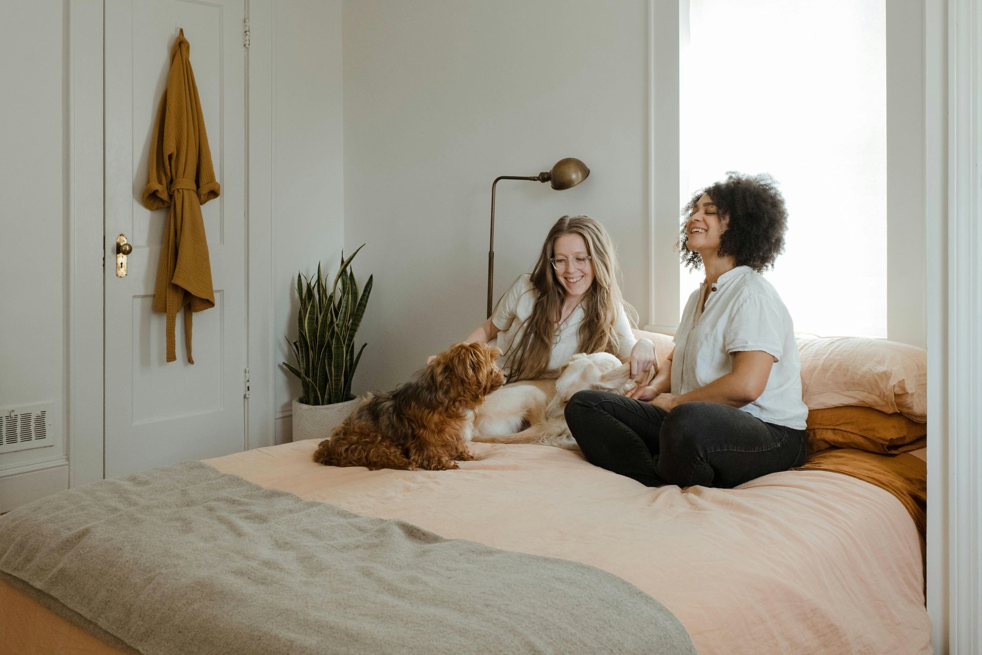 family petstory