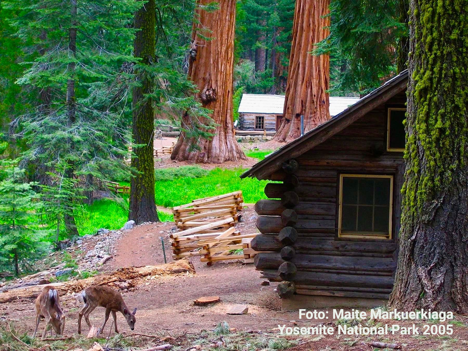 clases-yoga-pilates-hipopresivos-craneosacral-lse—reiki-vitoria-gasteiz-maite-markuerkiaga clases-yoga-pilates-hipopresivos-craneosacral-lse—reiki-vitoria-gasteiz-maite-markuerkiaga