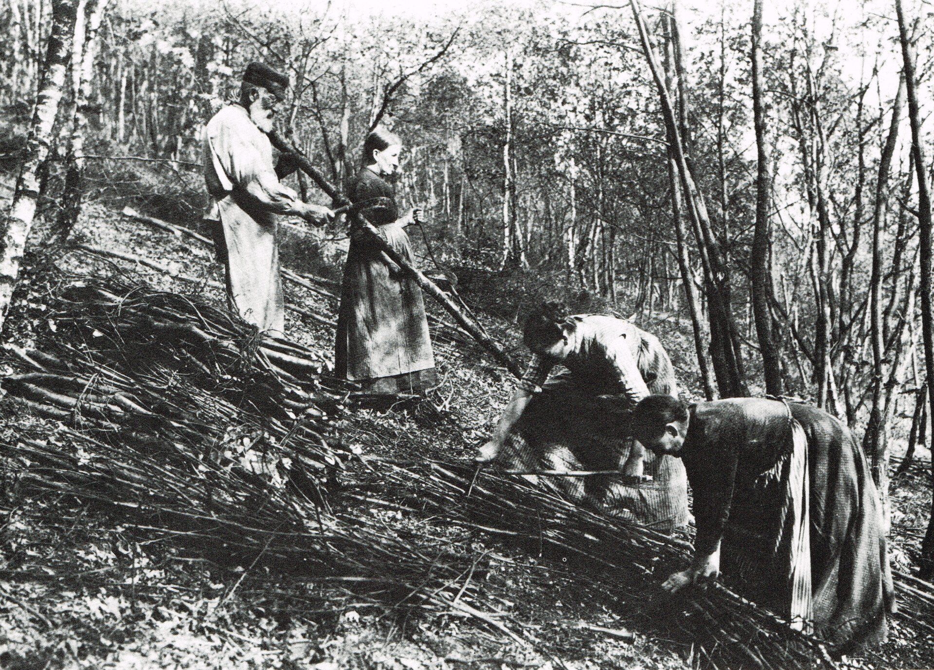 Der Hauberg wird geräumt