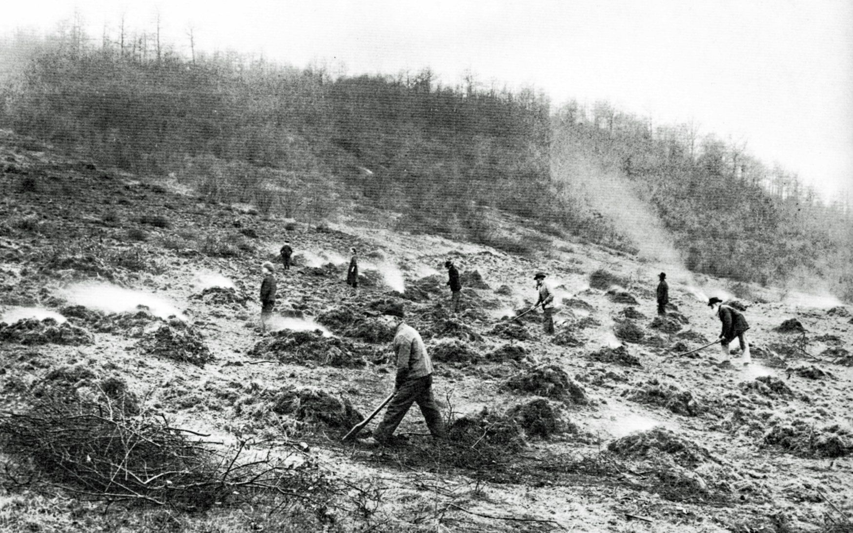 Brasenbrennen im Hauberg