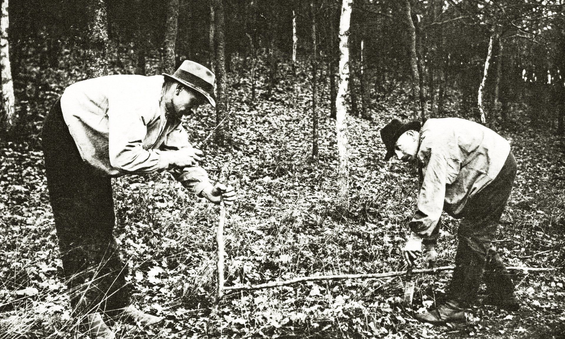 Der Hauberg wird vermessen