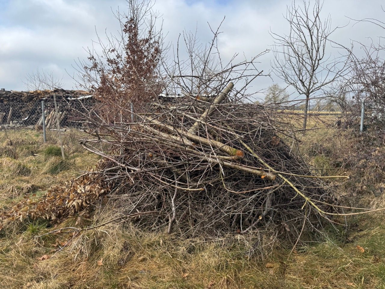 Naturgarten Langenau - Felsen-Grillplatz Naturgarten Langenau - Felsen-Grillplatz