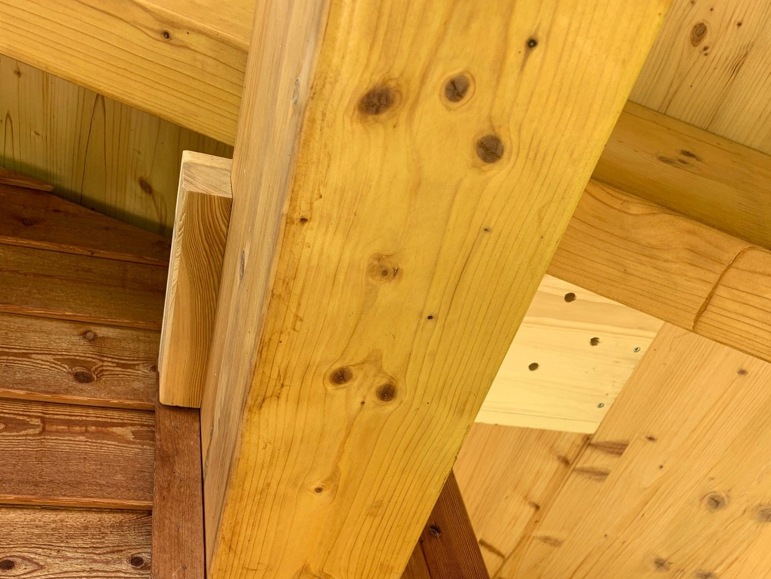 Naturgarten Langenau - Nisthöhlen Naturgarten Langenau - Nisthöhlen