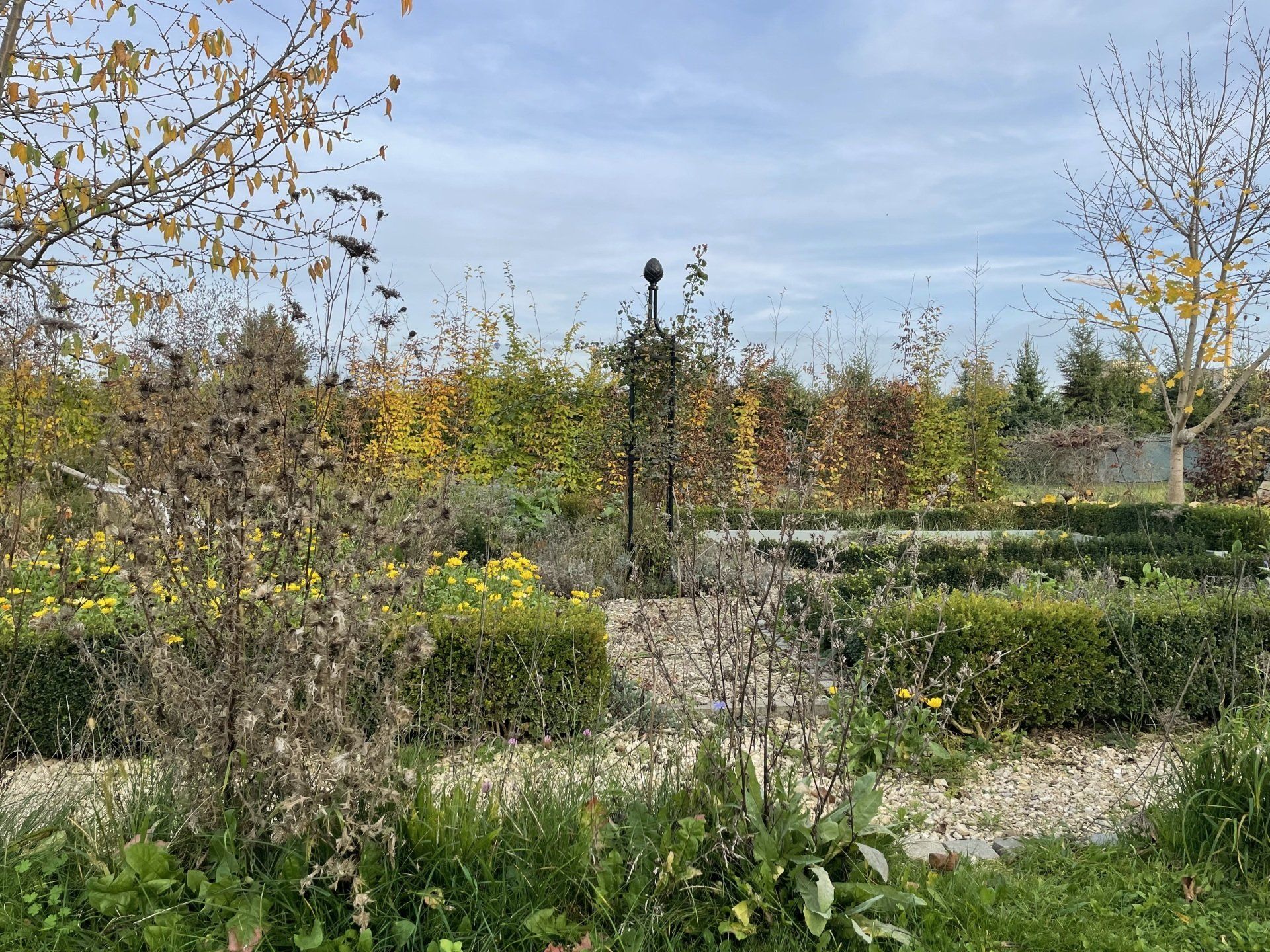 Naturgarten Langenau - Bauerngarten