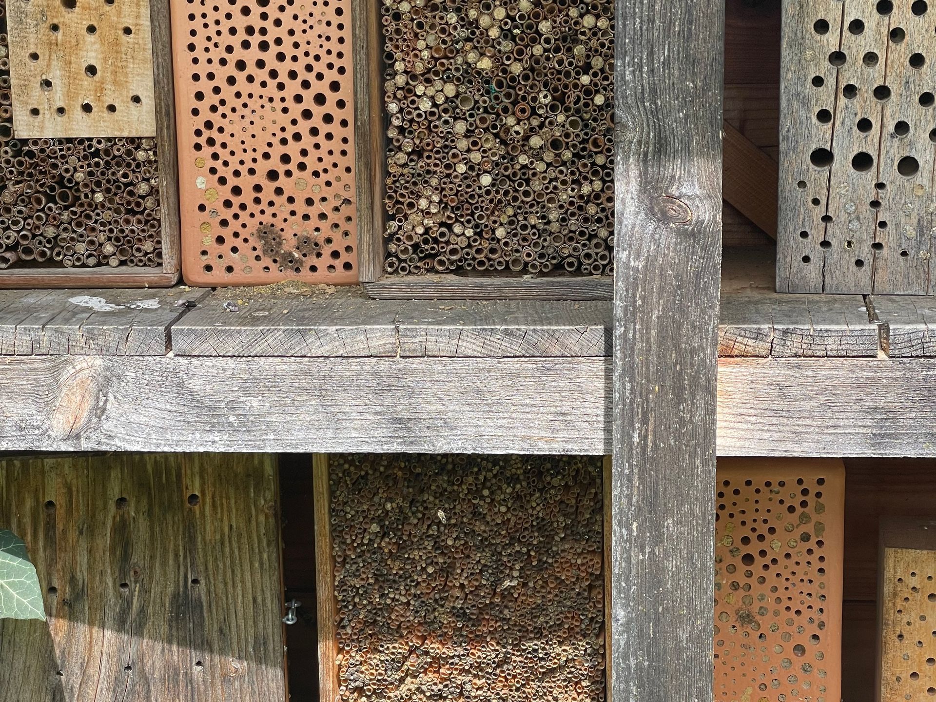 Wildbienen-Nisthilfe Wildbienen-Nisthilfe