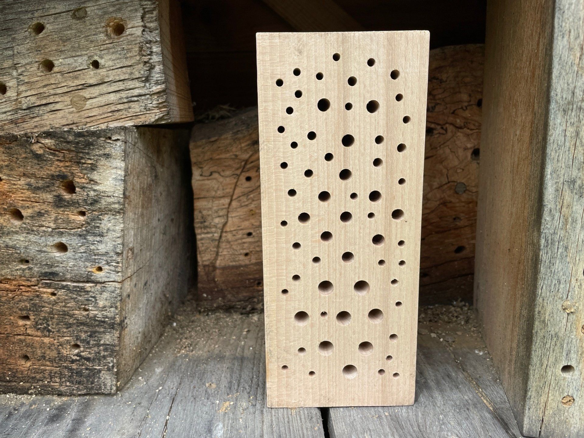 Wildbienen Nisthilfen aufhängen Wildbienen Nisthilfen aufhängen