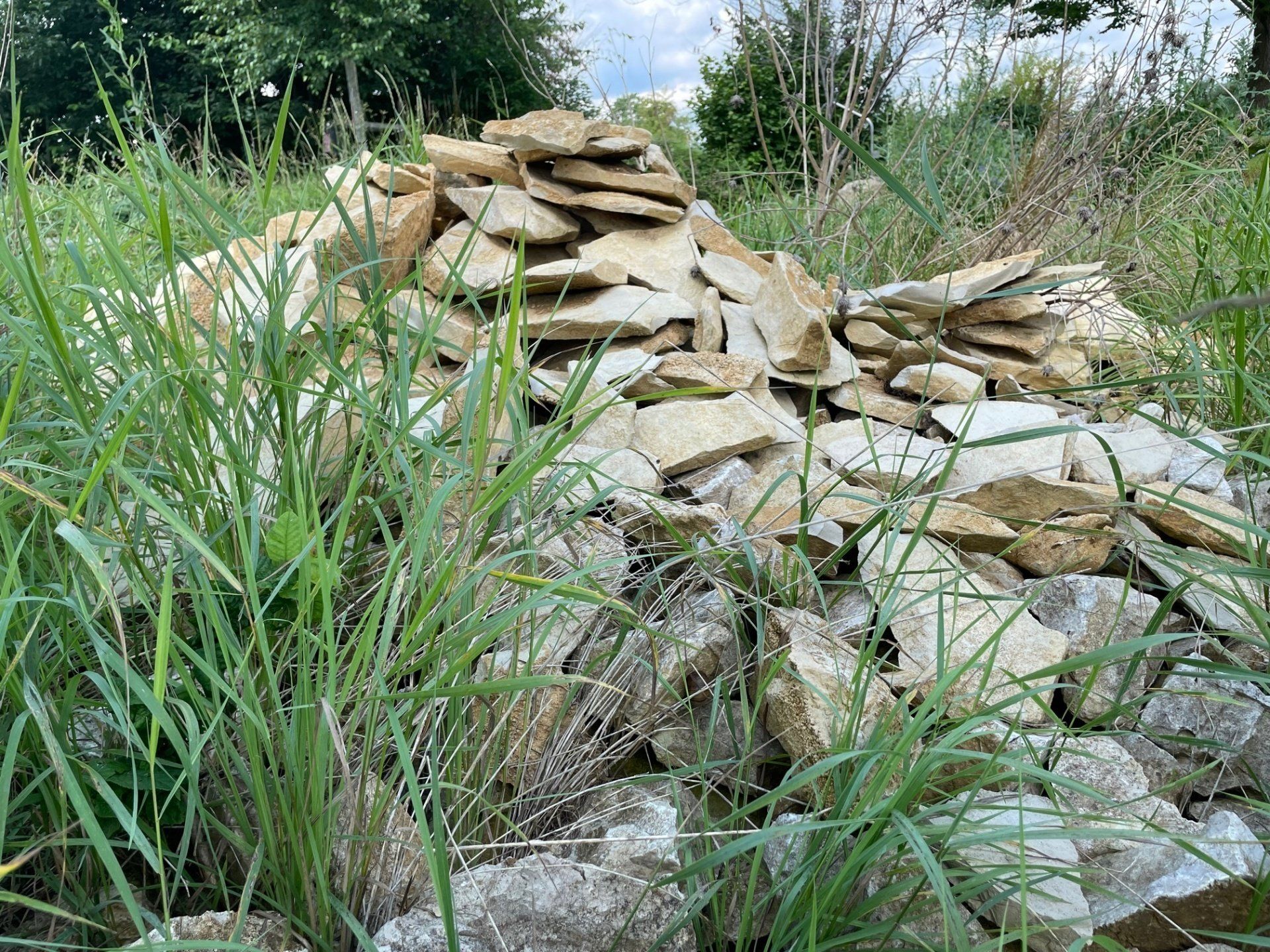 Naturgarten Langenau - Steinhaufen Naturgarten Langenau - Steinhaufen