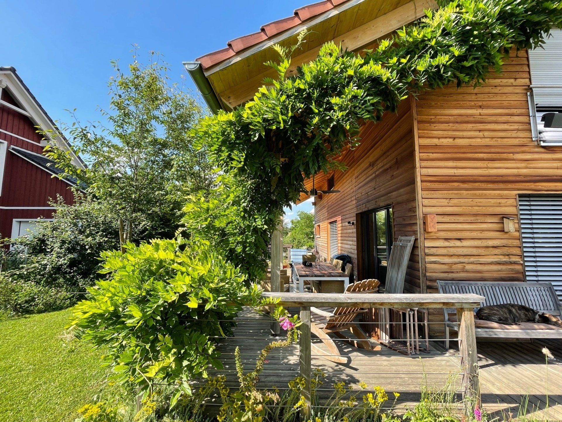 Naturgarten Langenau - Fassadenbegrünung Naturgarten Langenau - Fassadenbegrünung