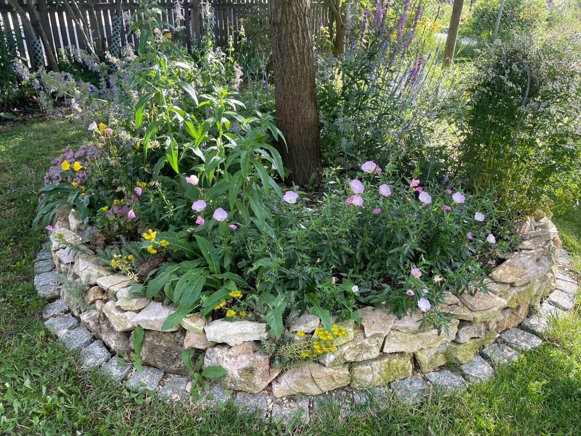 Naturgarten Langenau - Fledermausbeet Naturgarten Langenau - Fledermausbeet