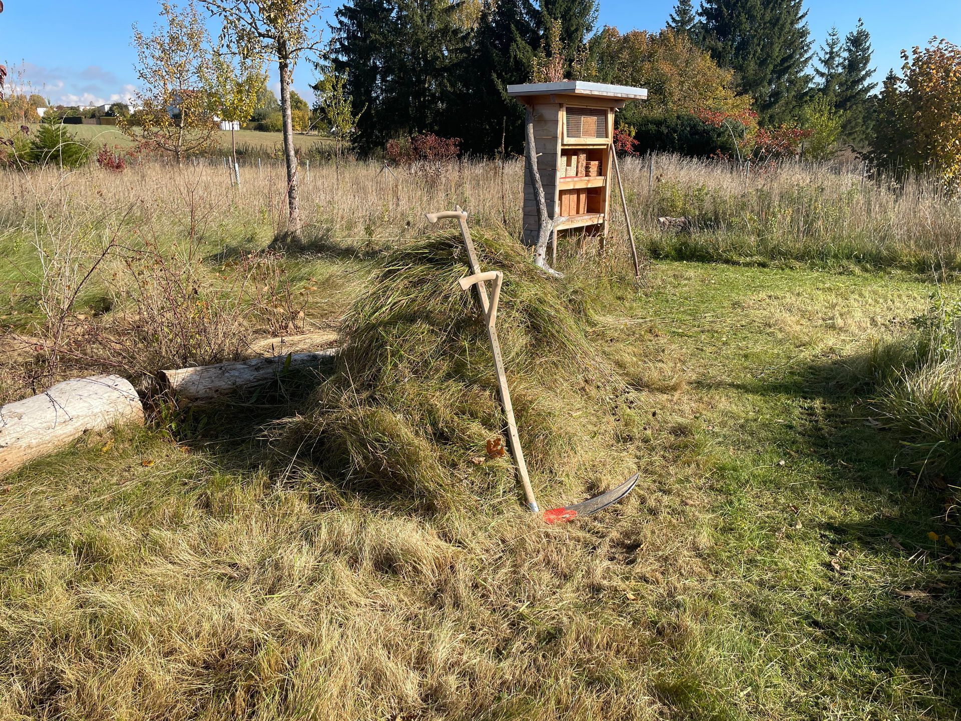 Naturgarten Langenau - Mahdkonzept Naturgarten Langenau - Mahdkonzept