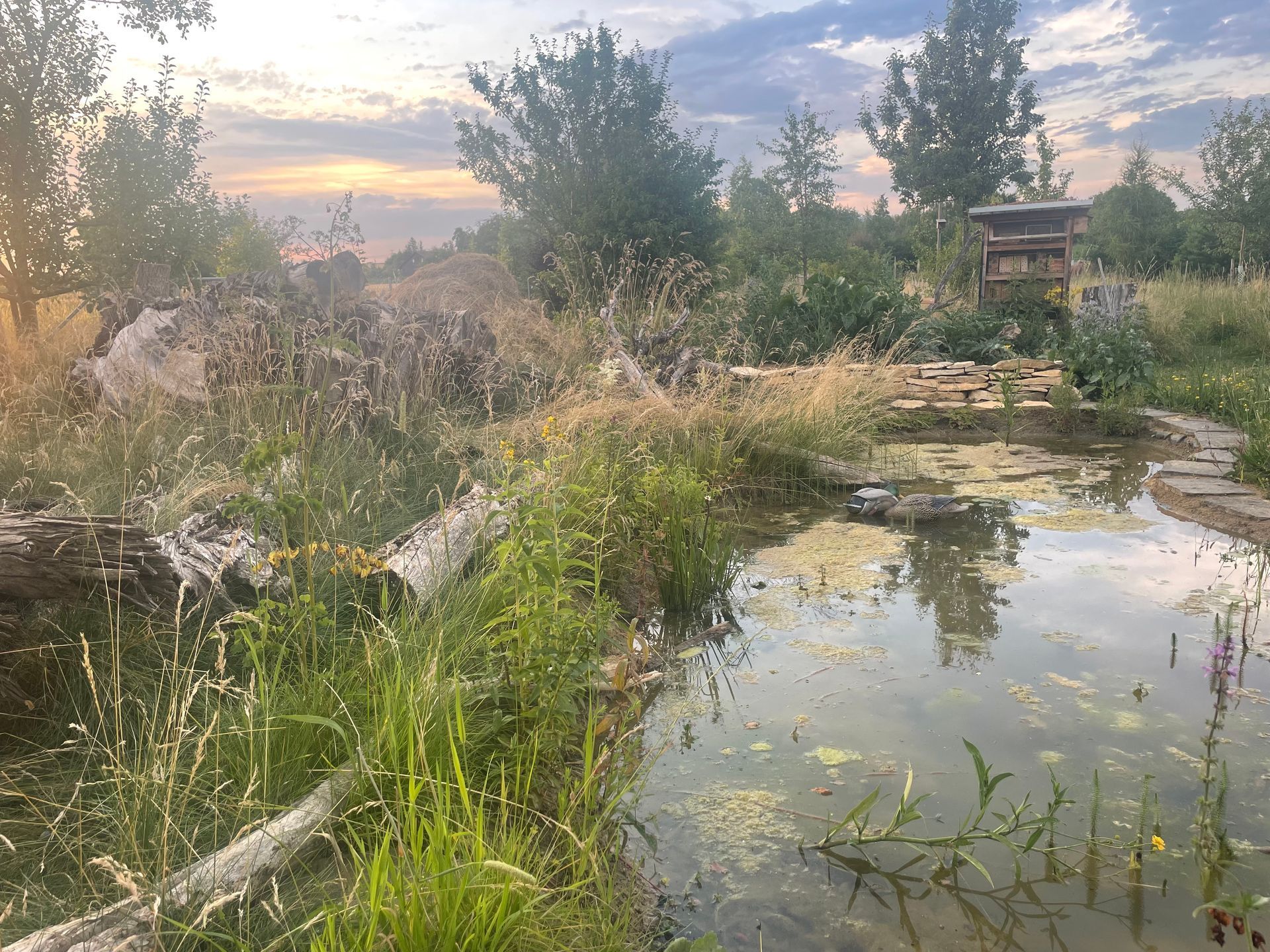 Naturgarten Langenau - Auszeichnungen Naturgarten Langenau - Auszeichnungen