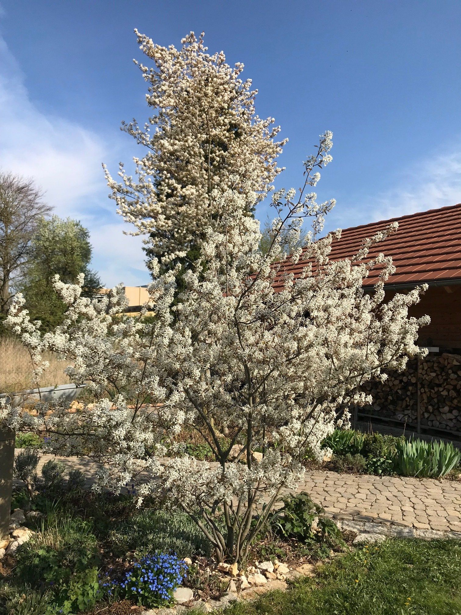 Naturgarten Langenau Naturgarten Langenau