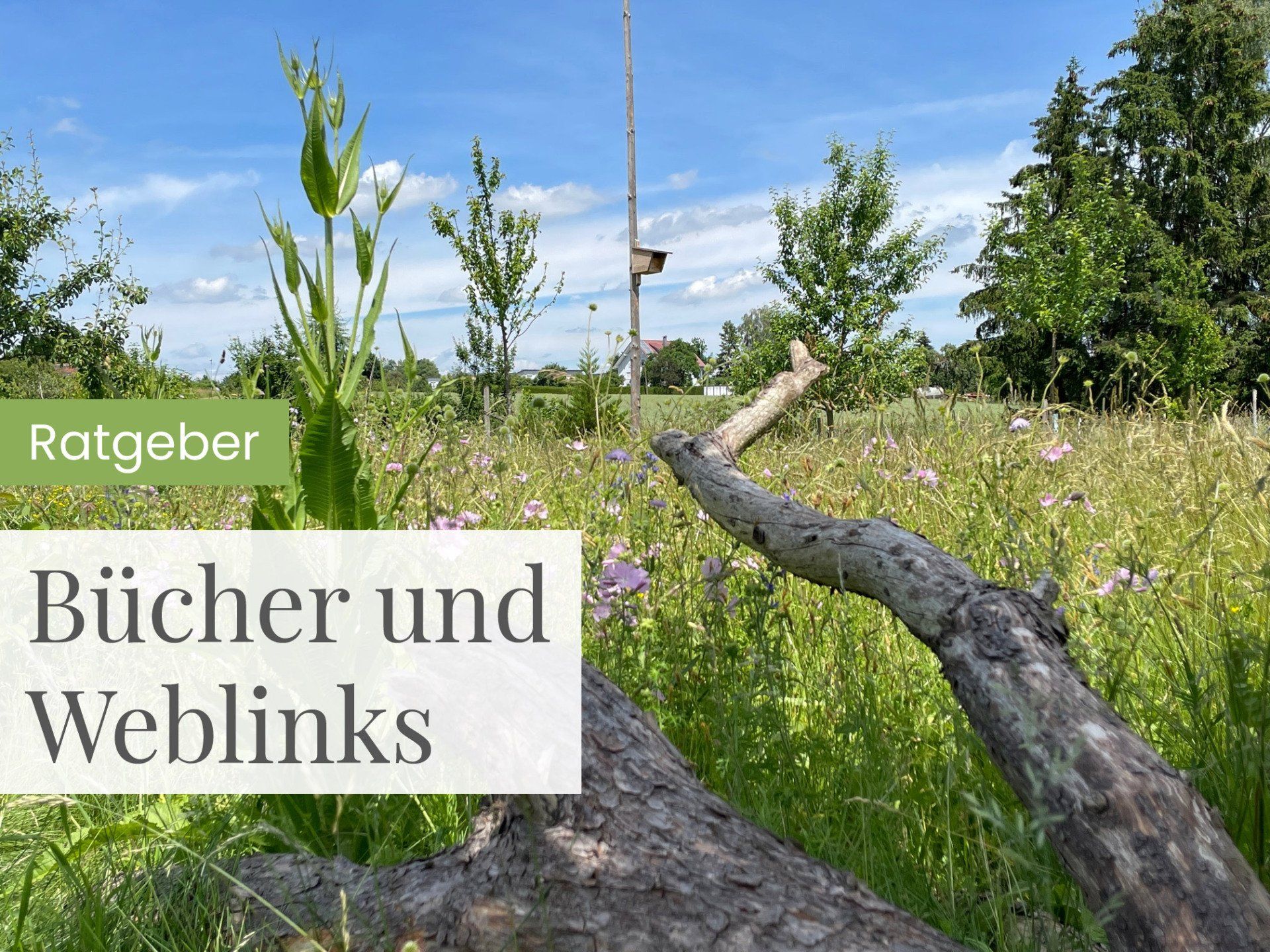 Ratgeber Bücher und Weblinks Ratgeber Bücher und Weblinks