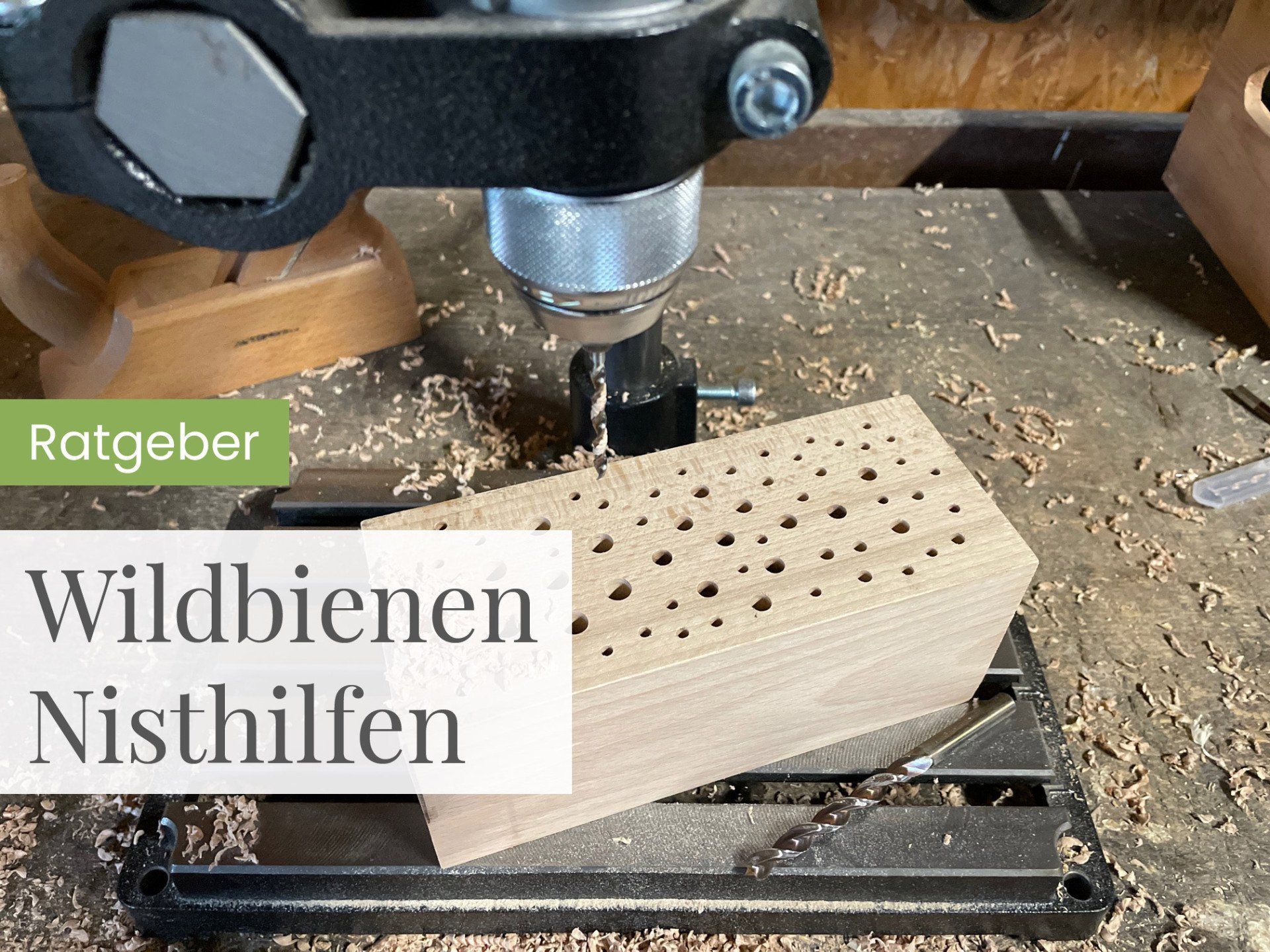 Ratgeber Wildbienen Nisthilfen Ratgeber Wildbienen Nisthilfen