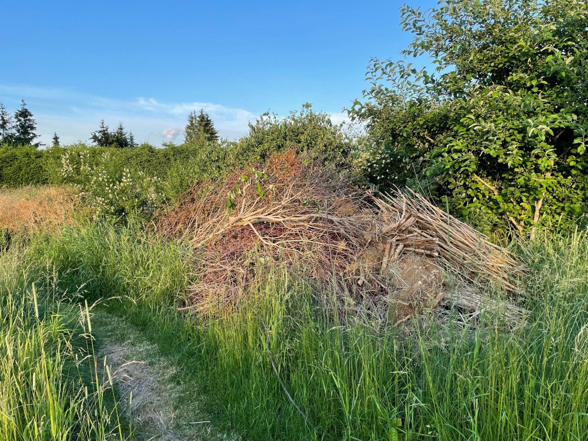 Naturgarten Langenau - Reisighaufen Naturgarten Langenau - Reisighaufen