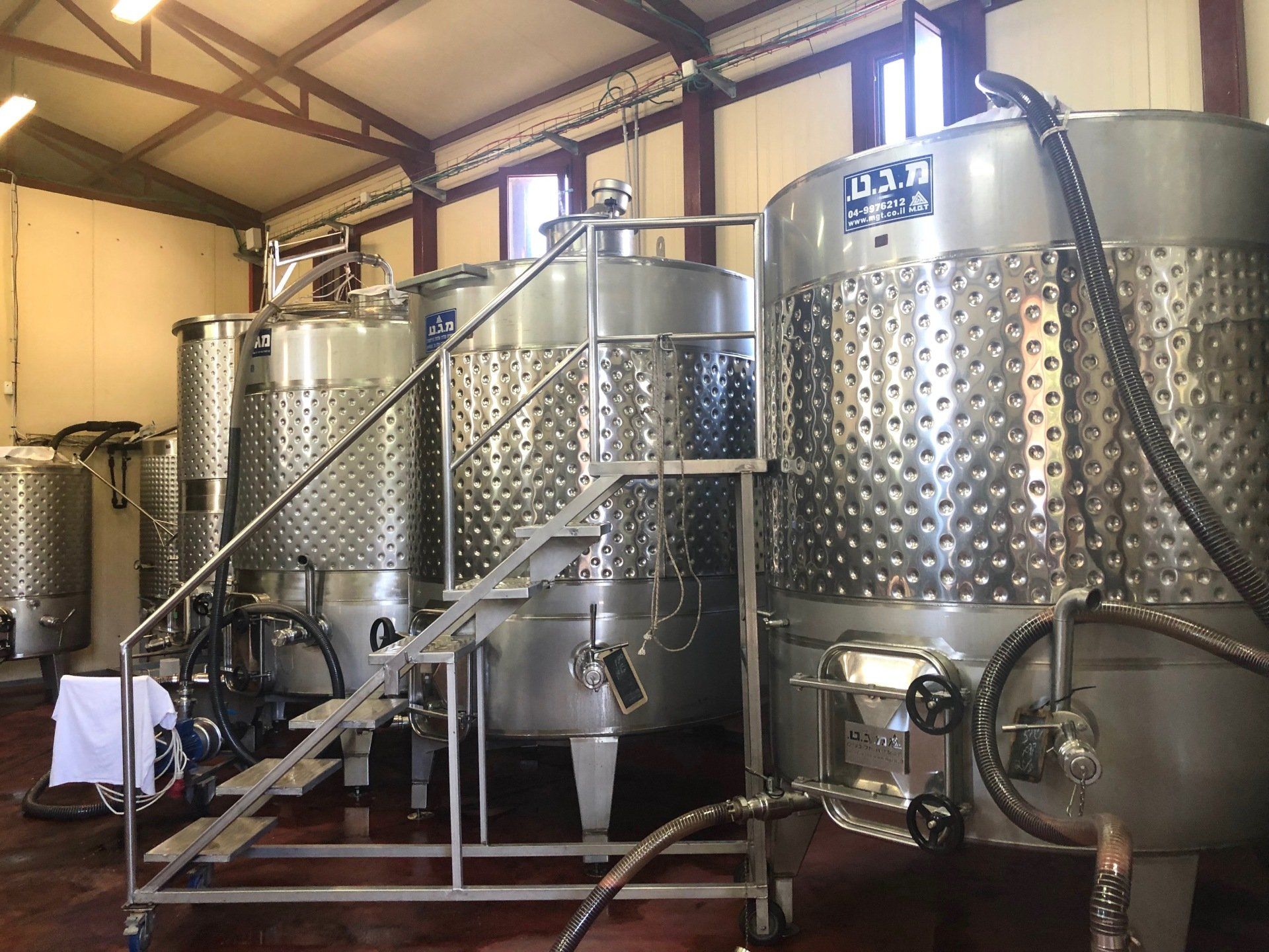 Caves Assaf Winery Israël