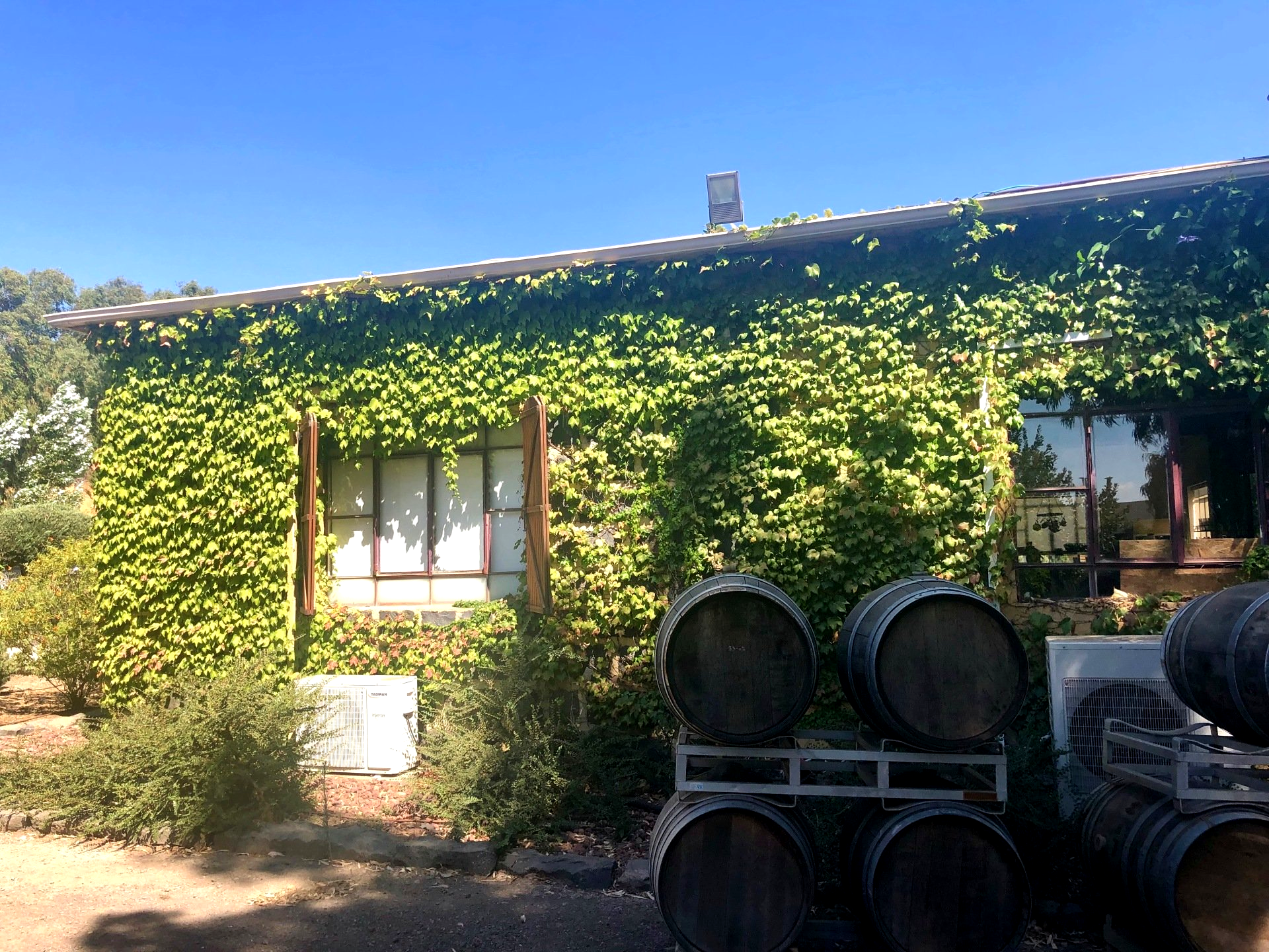 Assaf Winery Golan Israël