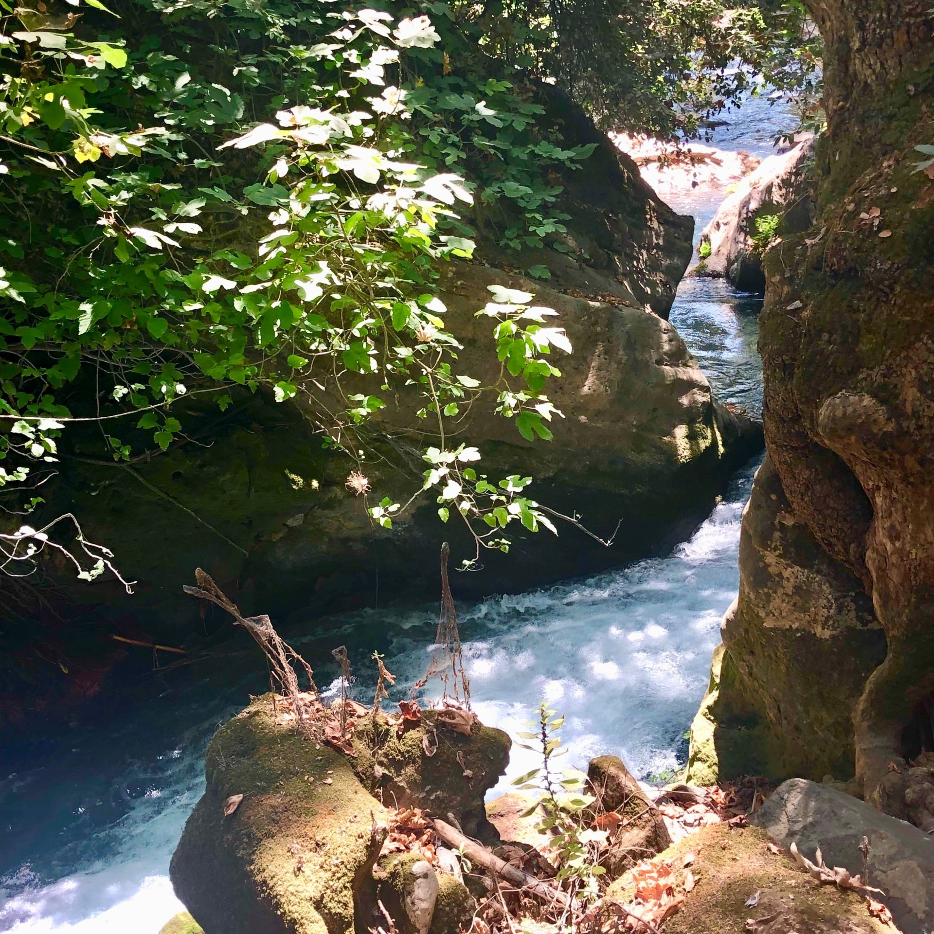 Réserve naturelle Banias Golan Israël