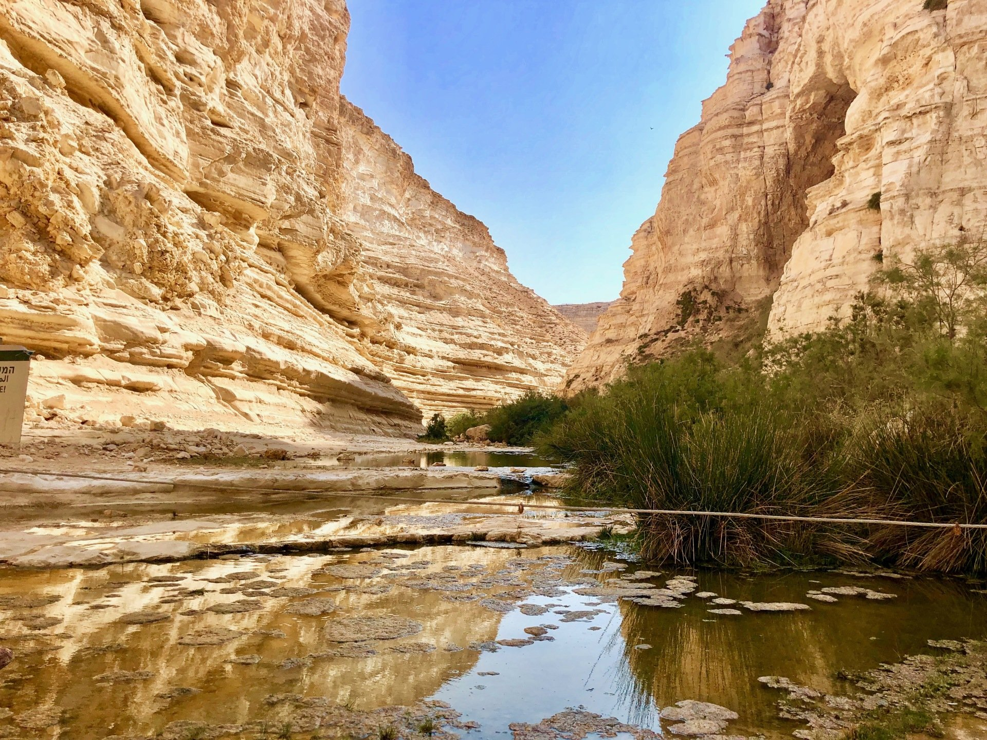Canyon Ein Avdat Neguev Israel
