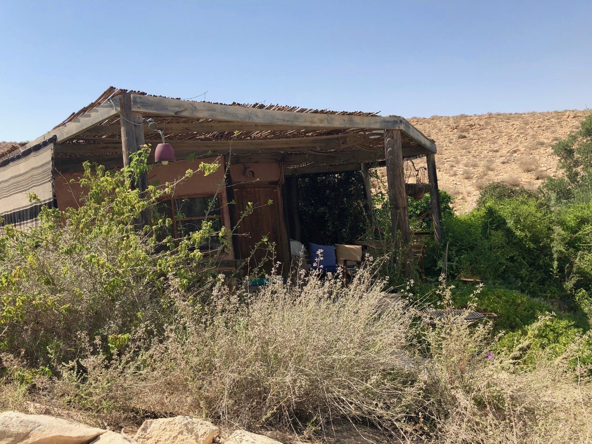 Carmey Avdat Farm Neguev Israel