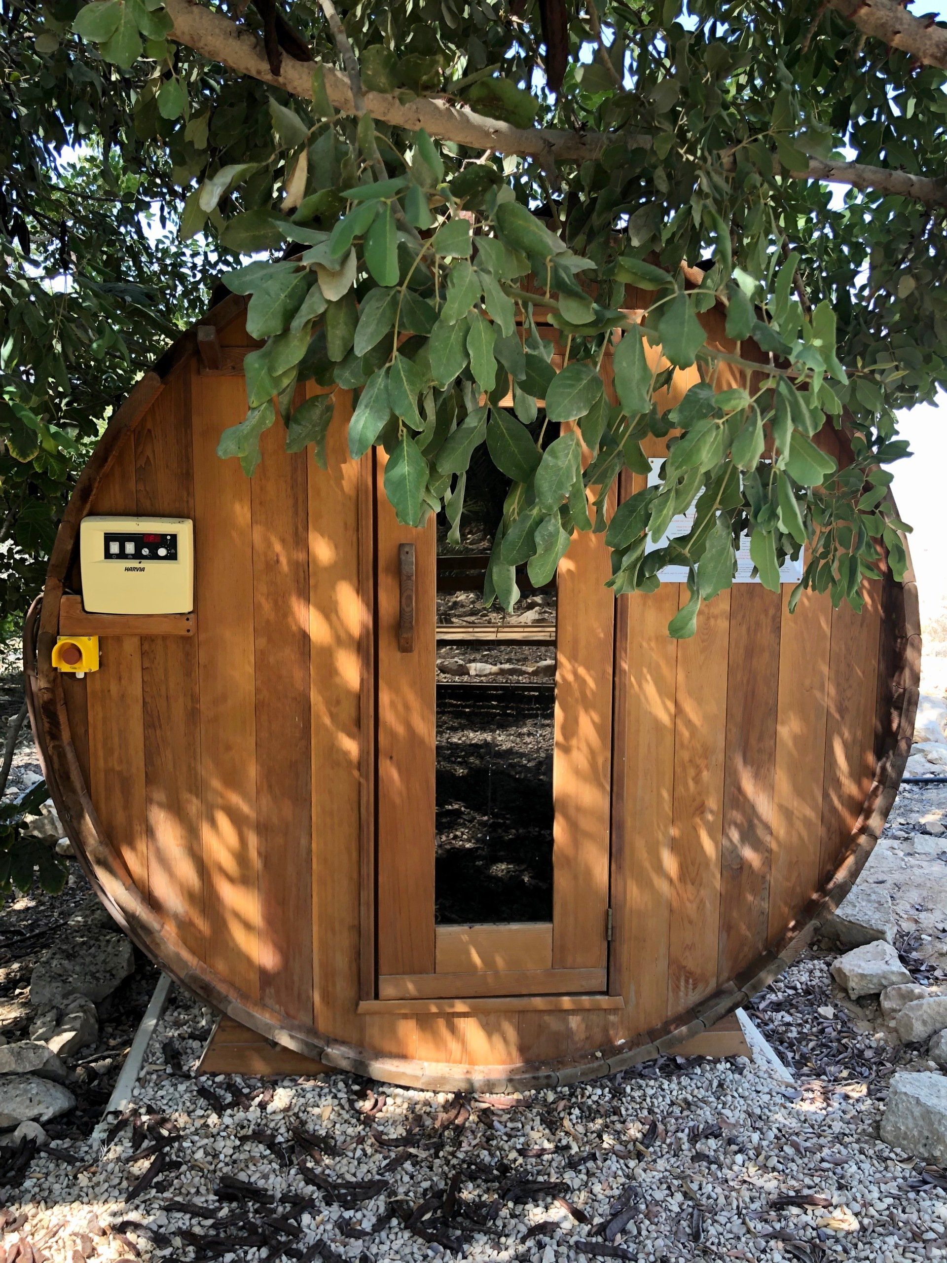 Carmey Avdat Neguev Israel