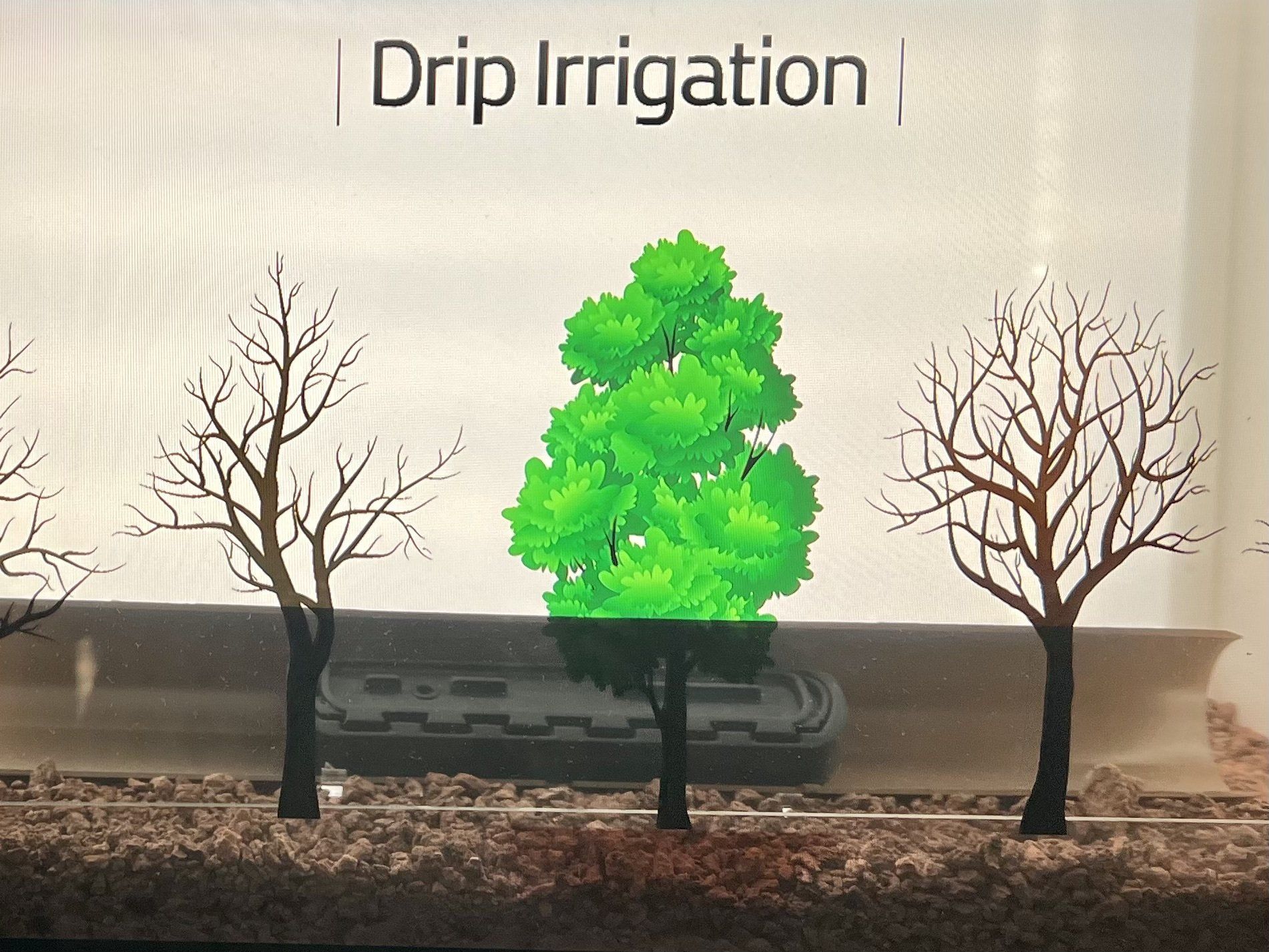 Centre Peres innovation Israël irrigation goutte à goutte