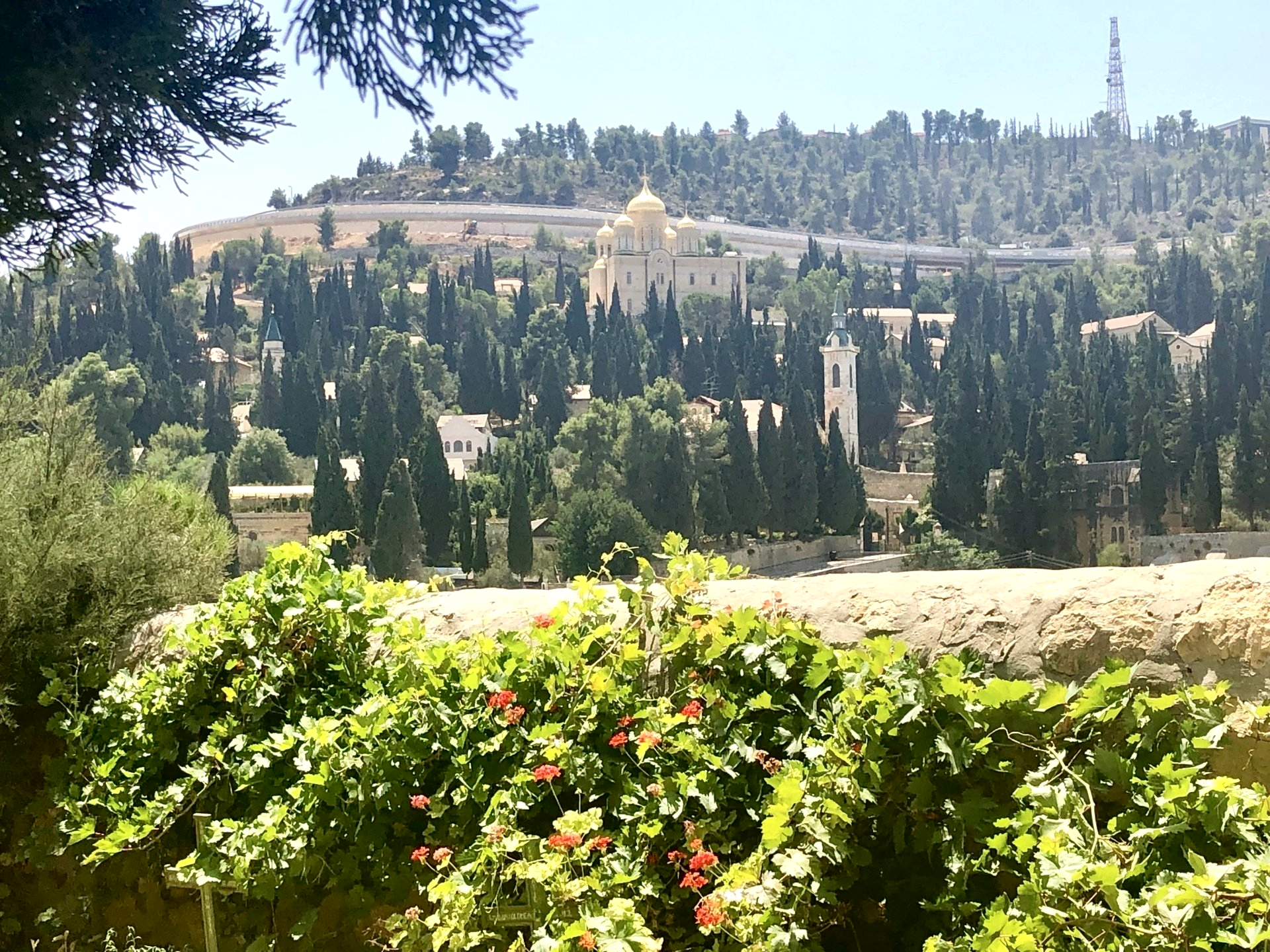 Balade à Ein Kerem