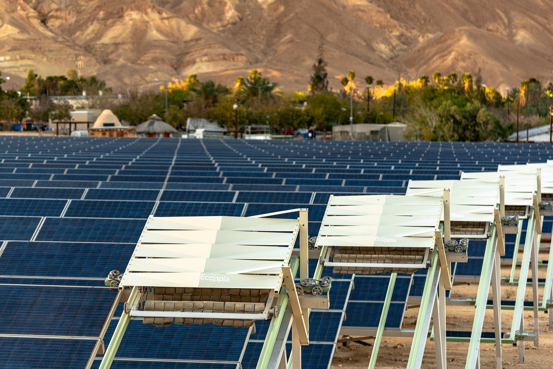 Kibboutz Ketura Arava Power énergie solaire