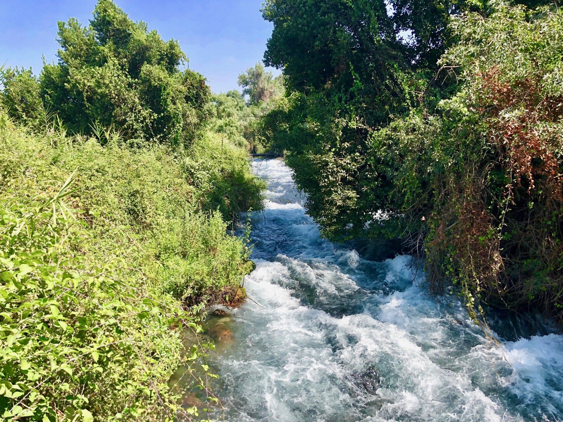 Réserve Tel dan Golan Israël