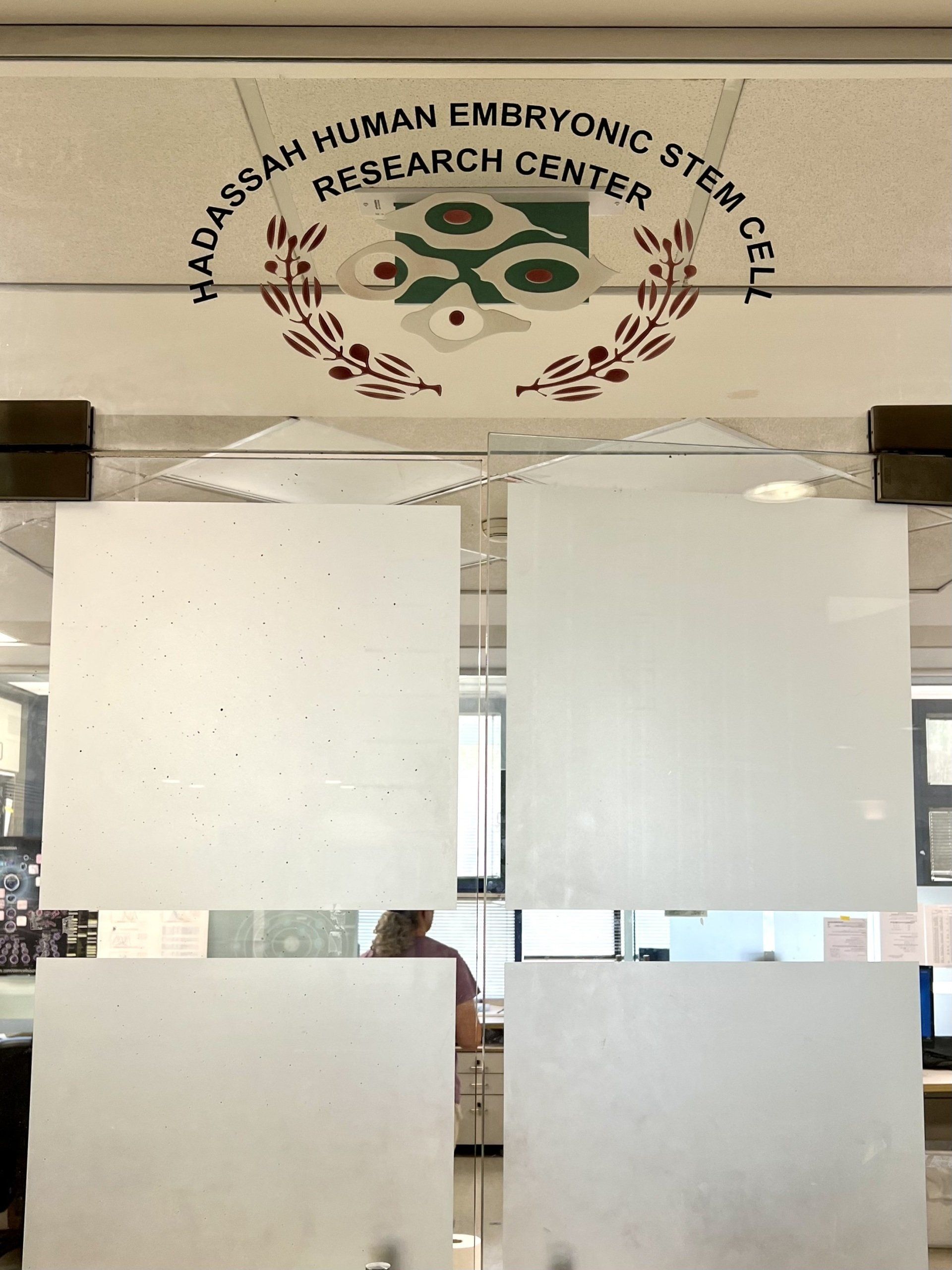 hôpital Hadassah Ein Kerem Jérusalem