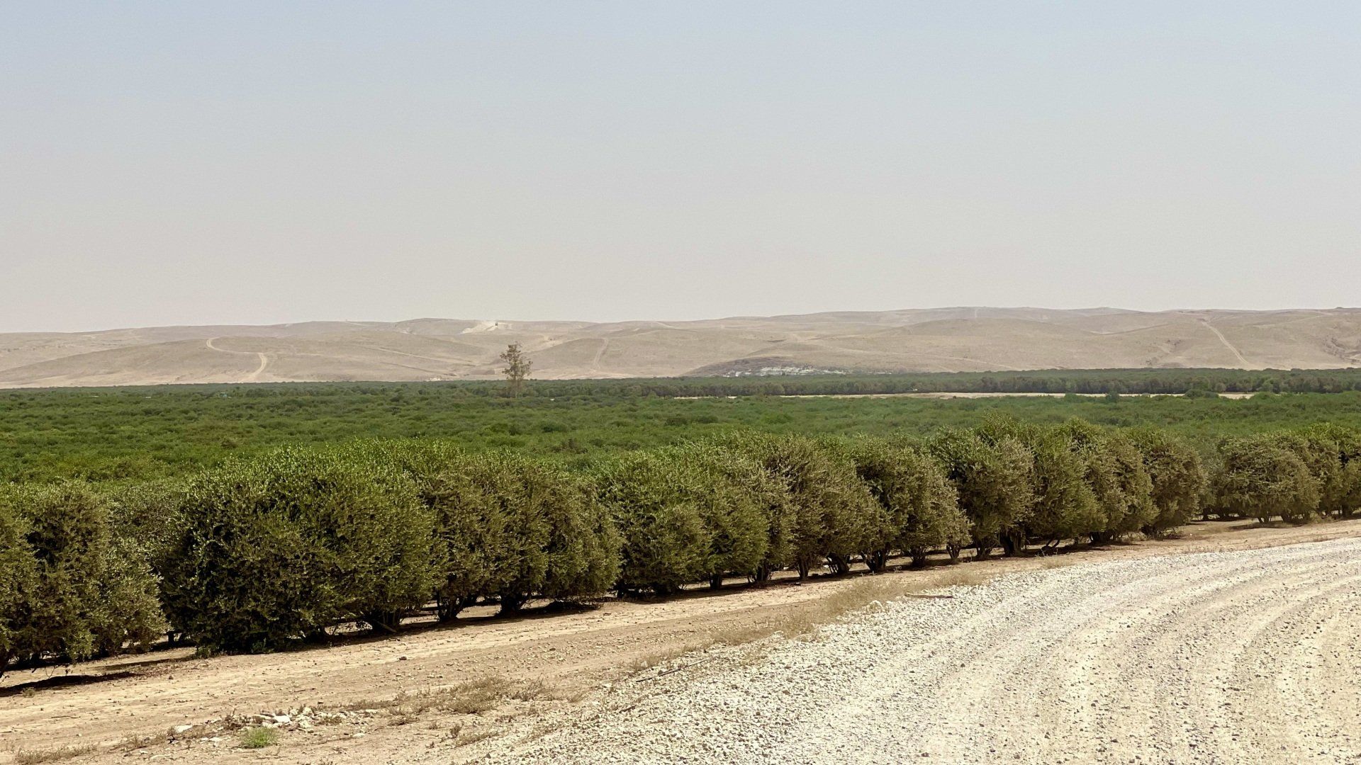 Mur occidental, Jérusalem