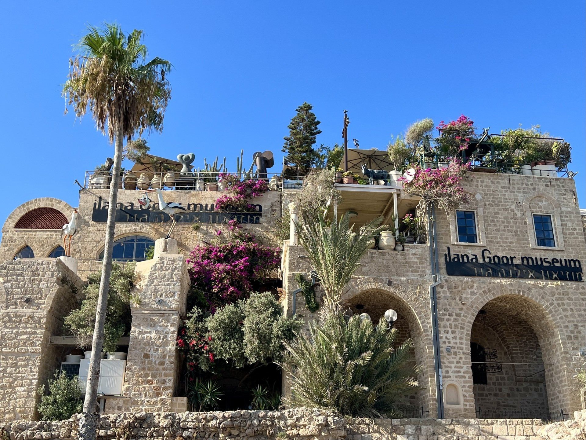 Ilana Goor Museum Jaffa Israël