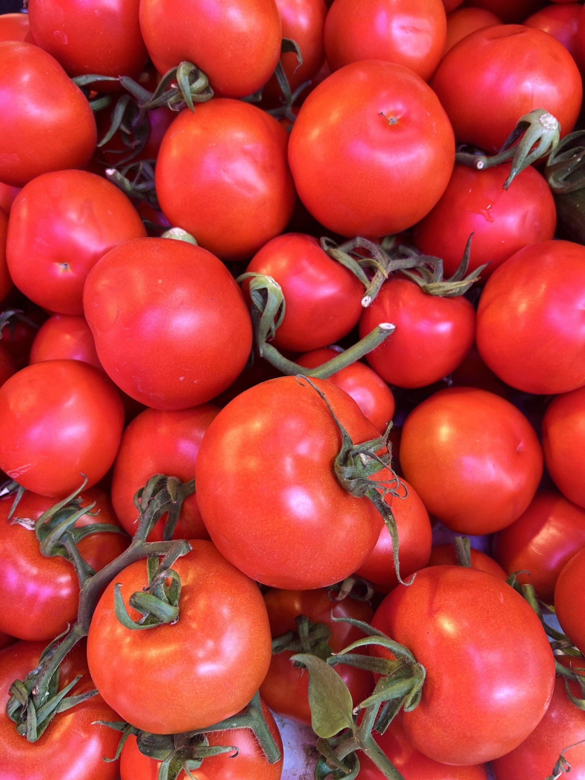 Centre Peres innovation Israël tomates cerises