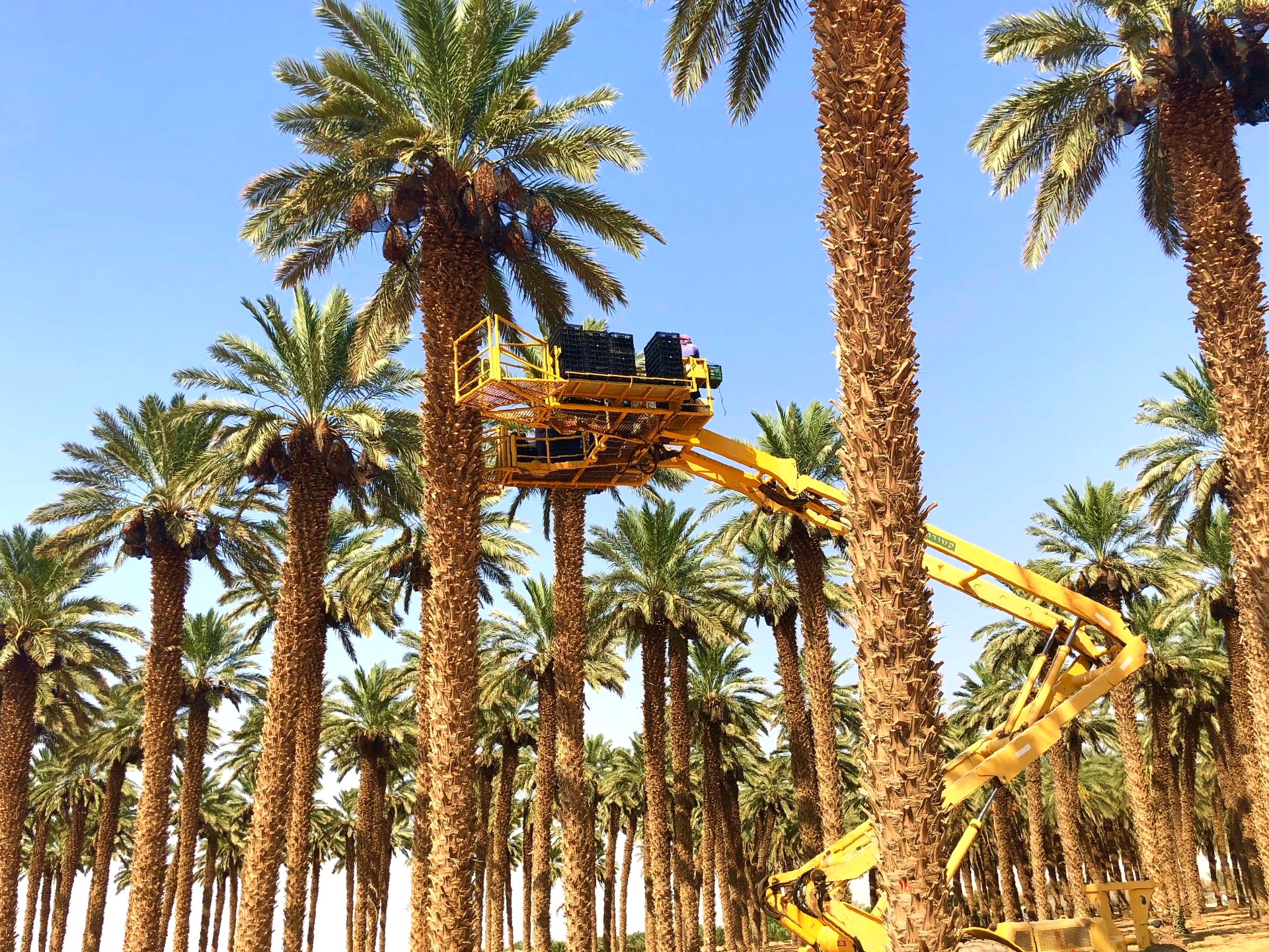 Kibboutz Ketura Arava Israël