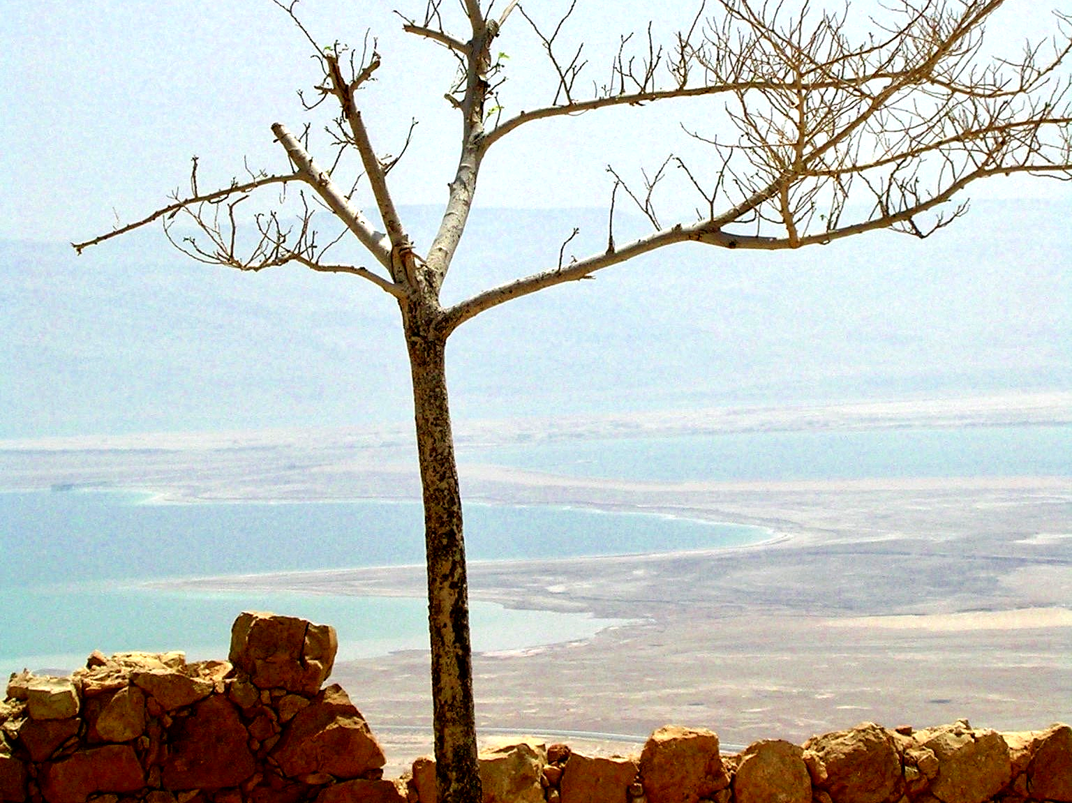 Massada Judée Israël vue sur la mer Morte