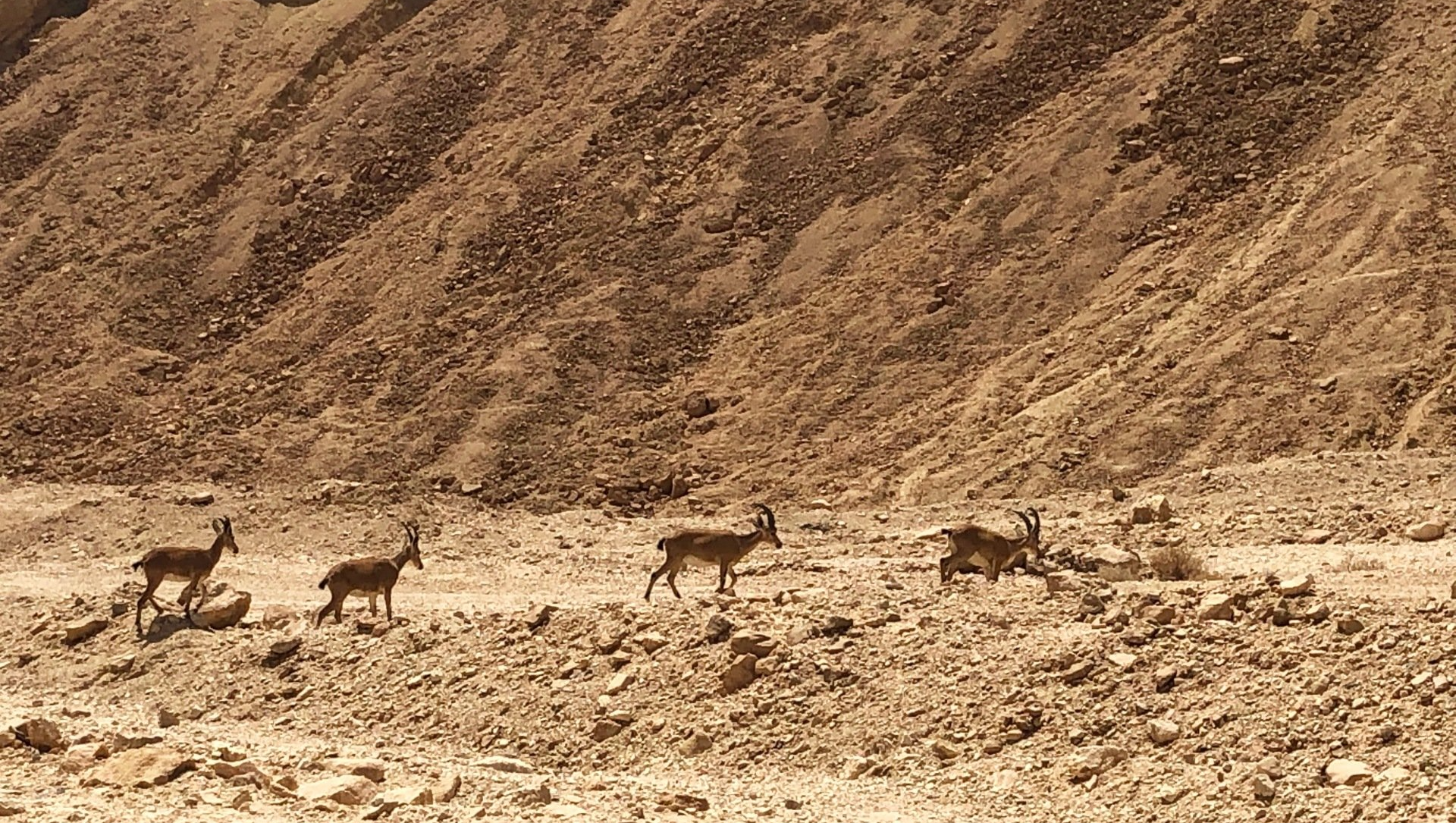 Green Tech Israël, Kibboutz Hatzerim, Neguev