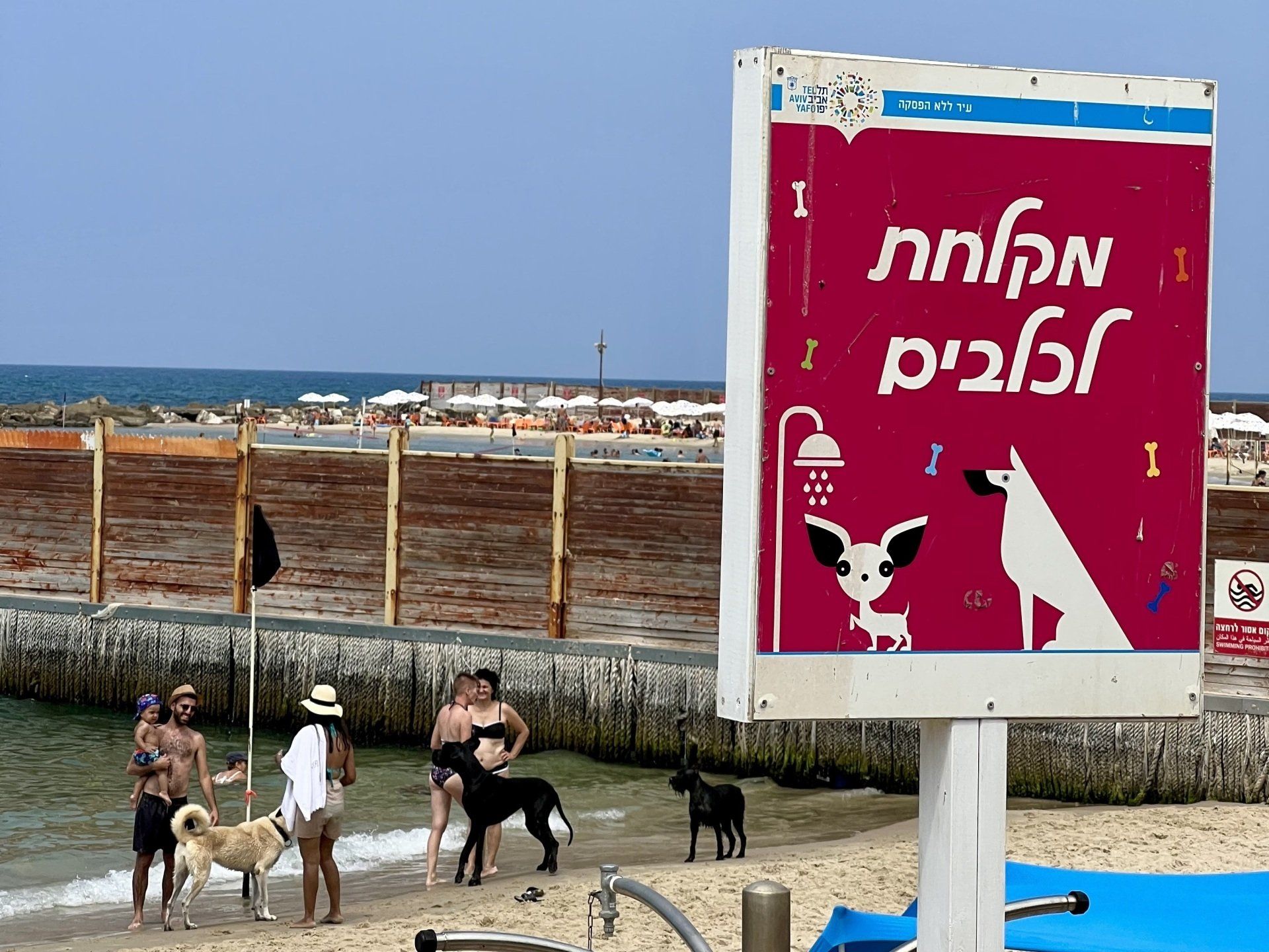 Plage des chiens à Tel-Aviv
