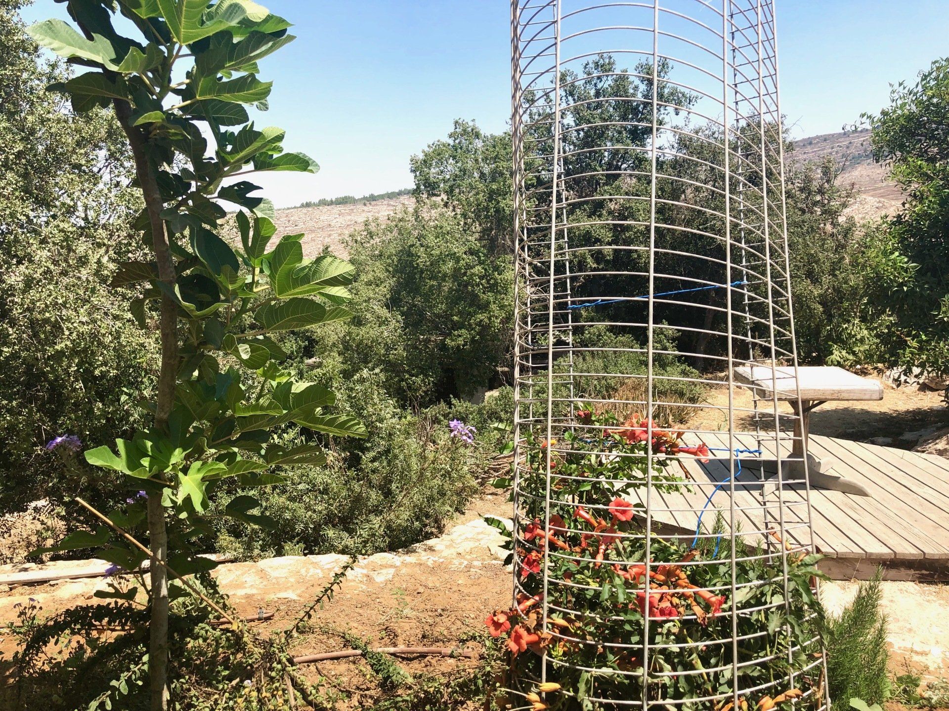 Rama's kitchen restaurant à Nataf environs de Jérusalem Israël