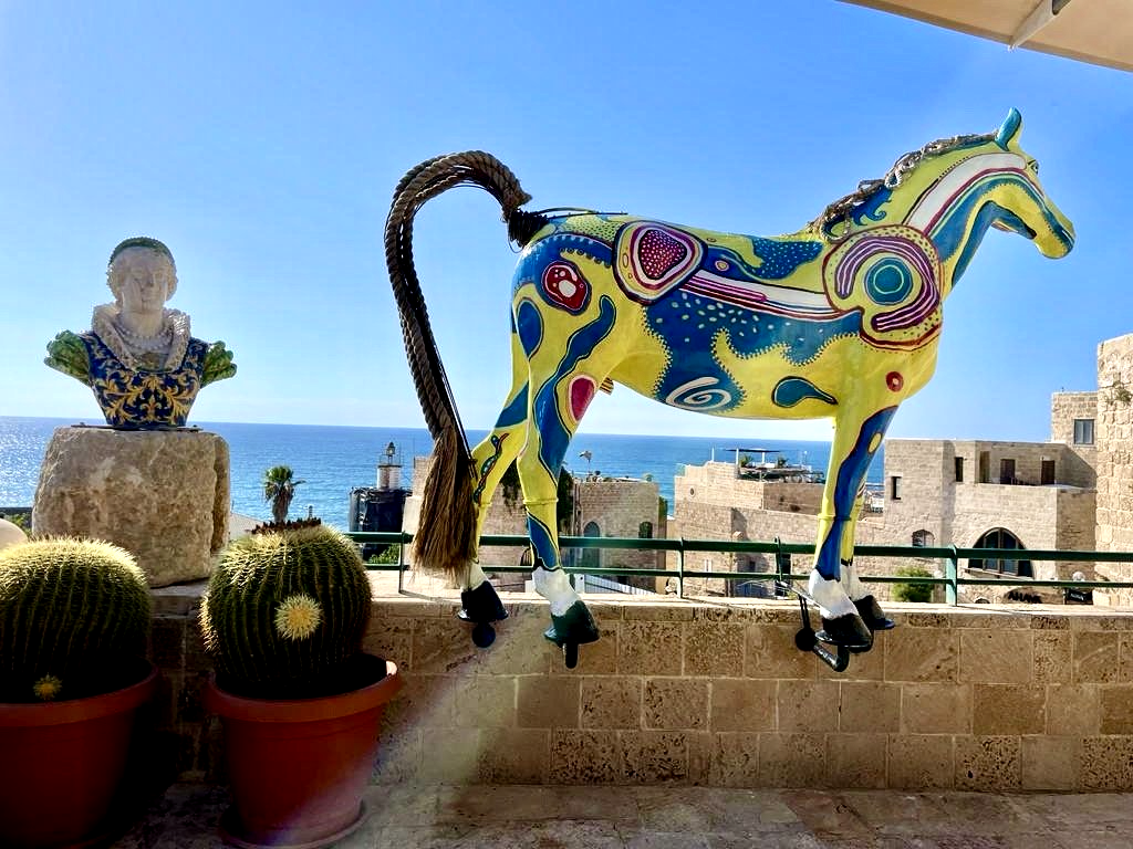 Musée Ilana Goor Jaffa Israël Rooftop